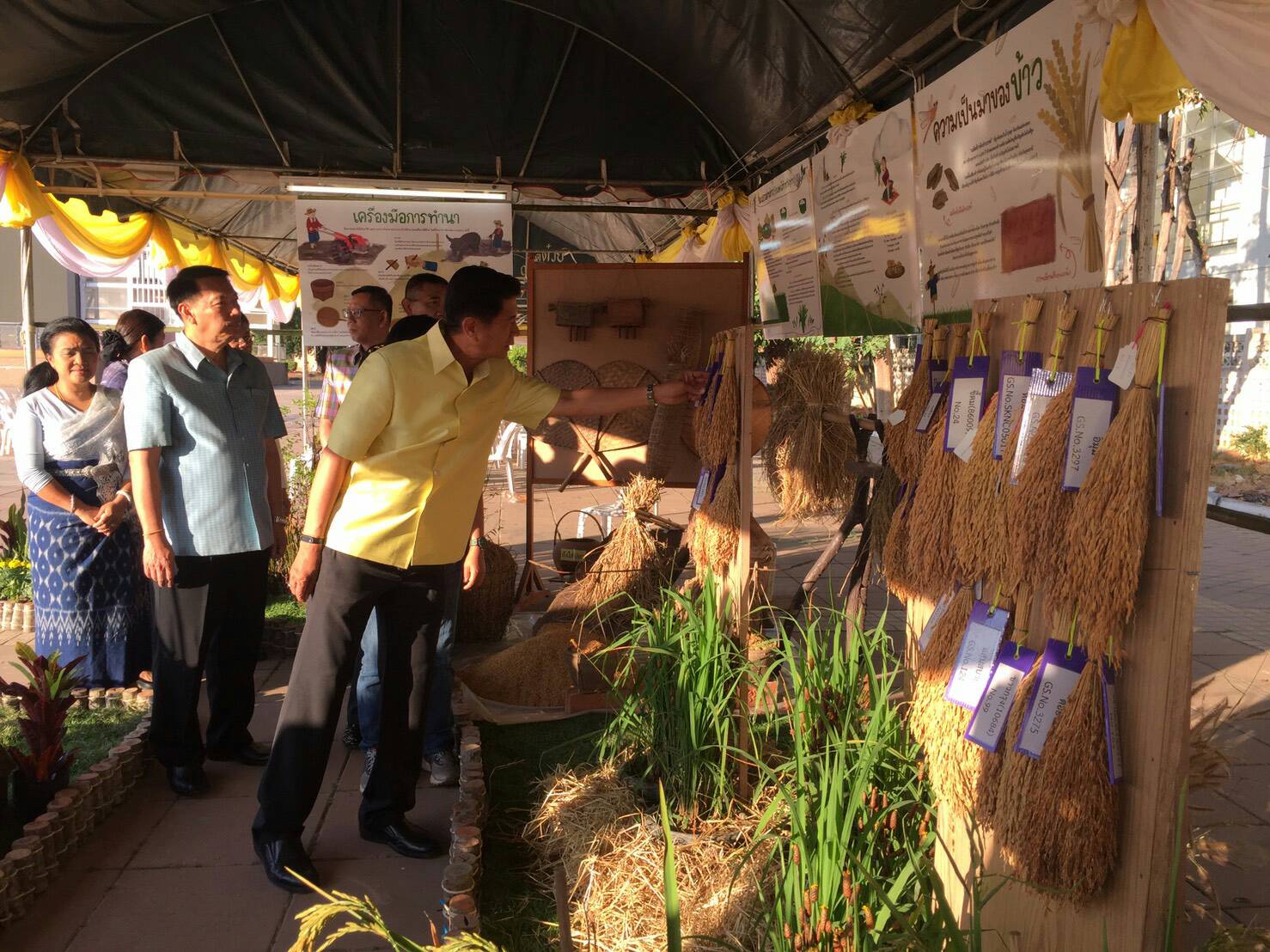 พจ.หนองคาย ร่วมทำบุญตักบาตรข้าวใหม่ เนื่องในการจัดงานเทศกาลข้าวใหม่ ประจำปี 2560 จังหวัดหนองคาย