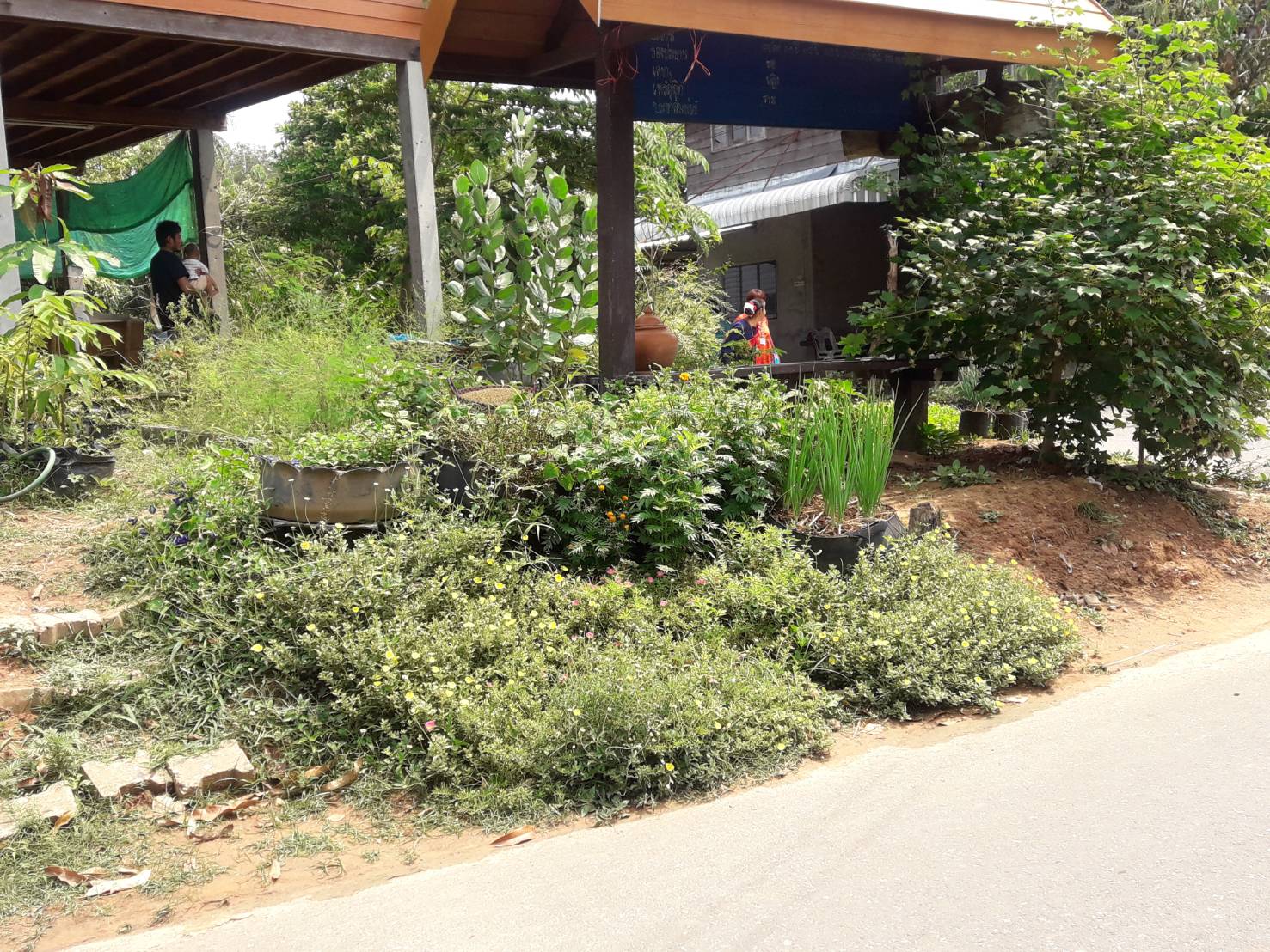 พช.หนองคาย พาผู้นำชุมชนหมู่บ้านท่องเที่ยว ศึกษาดูงานณ บ้านภู ต.บ้านเป้า อ.หนองสูง จ.มุกดาหาร