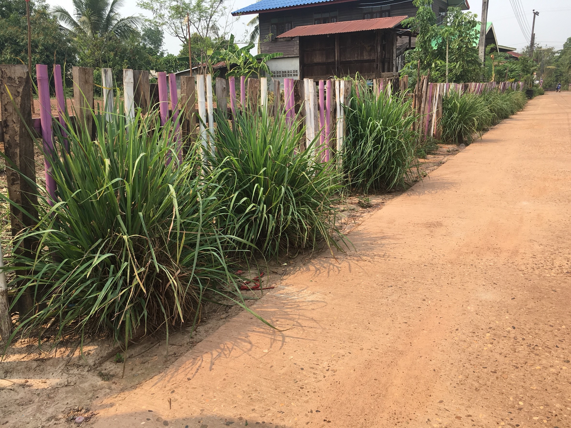 หมู่บ้านสารสนเทศเพื่อการพัฒนาเศรษฐกิจฐานรากและคุณภาพชีวิต บ้านศรีชมชื่น ม.15 ต.วังหลวง อ.เฝ้าไร่ จ.หนองคาย