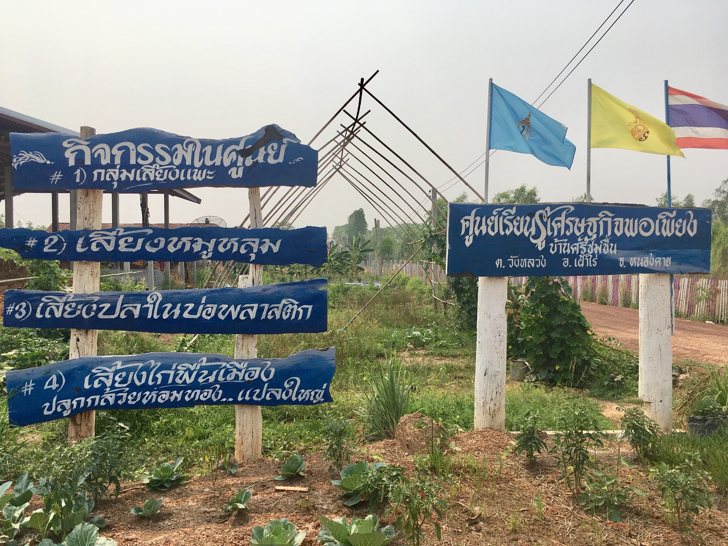 หมู่บ้านสารสนเทศเพื่อการพัฒนาเศรษฐกิจฐานรากและคุณภาพชีวิต บ้านศรีชมชื่น ม.15 ต.วังหลวง อ.เฝ้าไร่ จ.หนองคาย