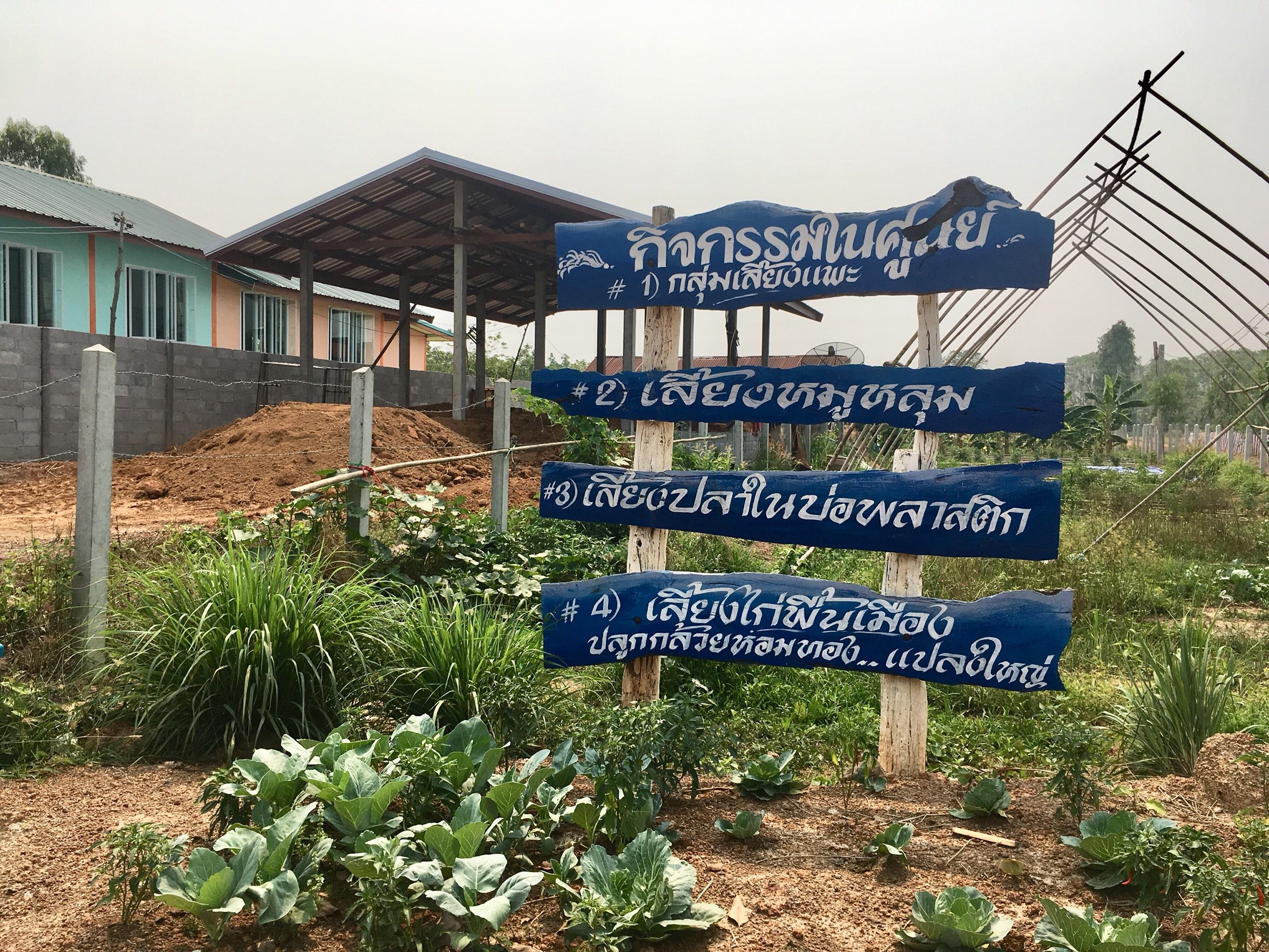 หมู่บ้านสารสนเทศเพื่อการพัฒนาเศรษฐกิจฐานรากและคุณภาพชีวิต บ้านศรีชมชื่น ม.15 ต.วังหลวง อ.เฝ้าไร่ จ.หนองคาย