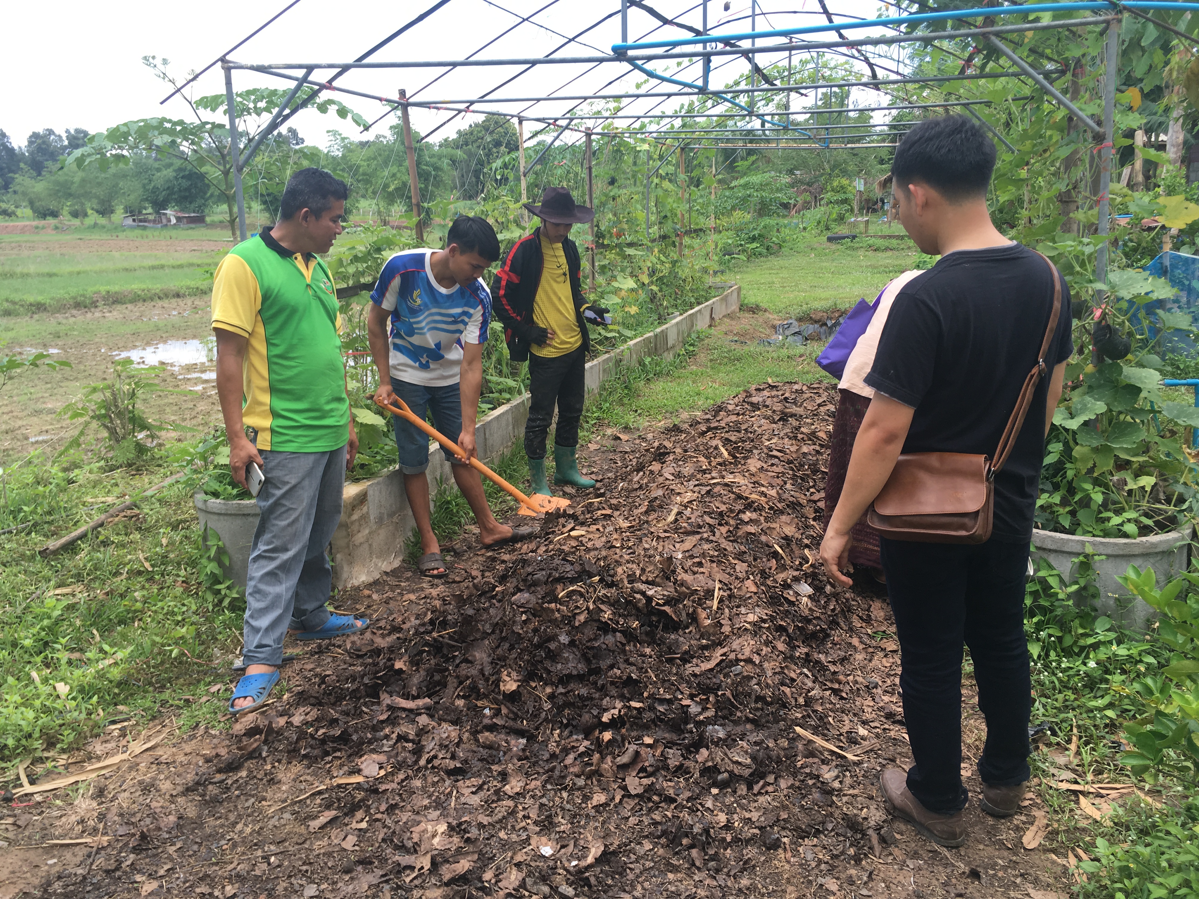 CD TALENT หนองคาย เรียนรู้ ณ ศูนย์บ่มเพาะอำเภอบ้านผือ