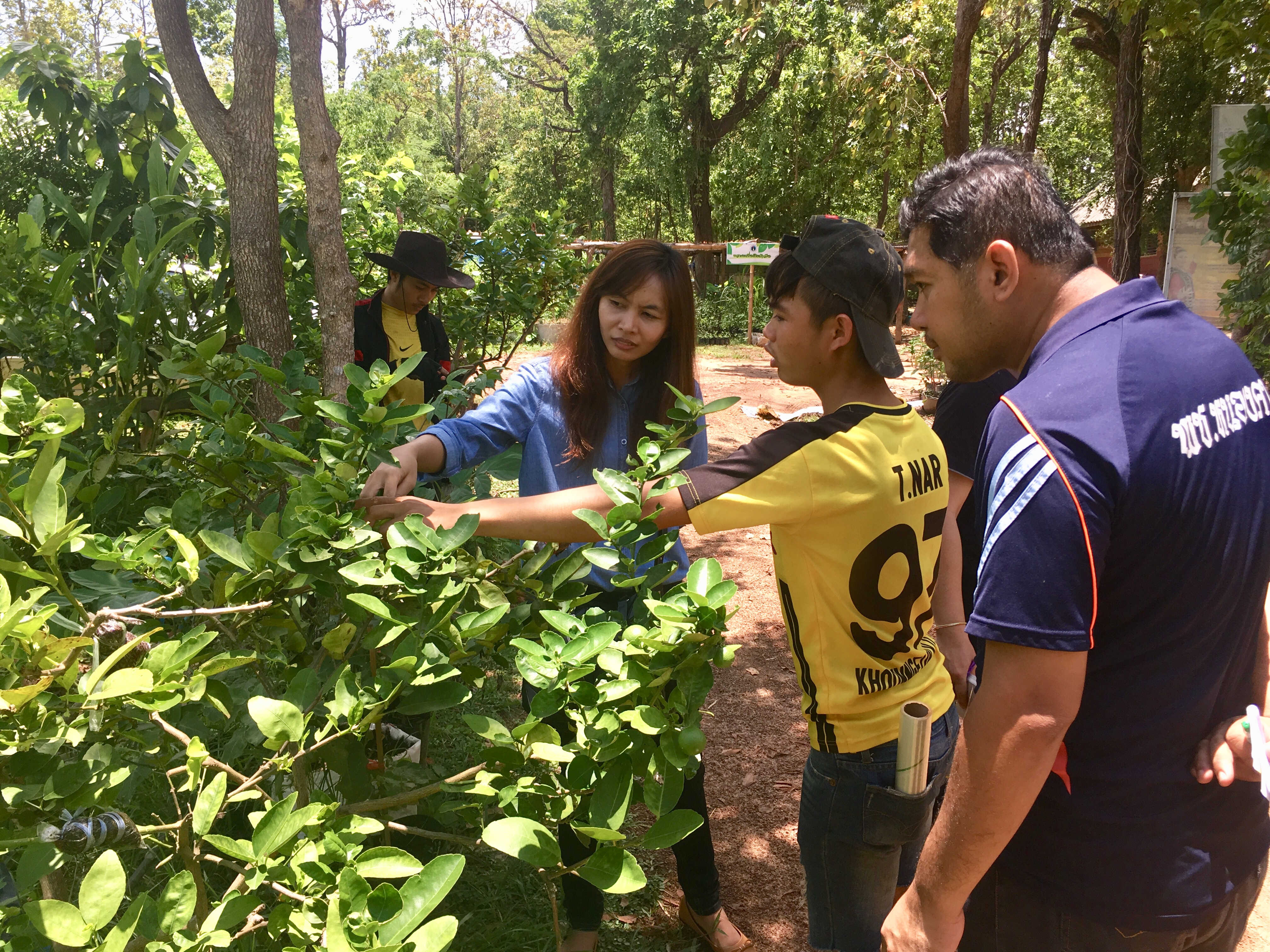 CD TALENT หนองคาย เรียนรู้ ณ ศูนย์บ่มเพาะอำเภอบ้านผือ