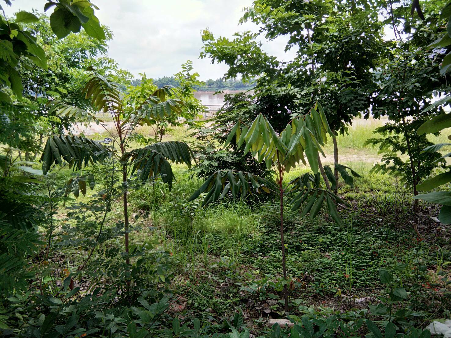 พัฒนาการจังหวัดหนองคาย ติดตามโครงการหมู่บ้าน OTOP เพื่อการท่องเที่ยว(OTOP Village) 8 เส้นทาง