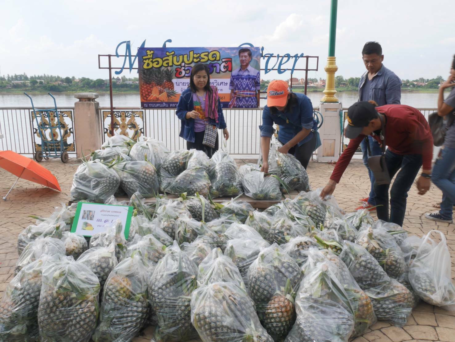 พจ.หนองคาย ร่วมประชาสัมพันธ์จำหน่ายสับปะรดแก่ผู้บริโภคที่สนใจ เพื่อช่วยเหลือเกษตรกรผู้ปลูกสับปะรด