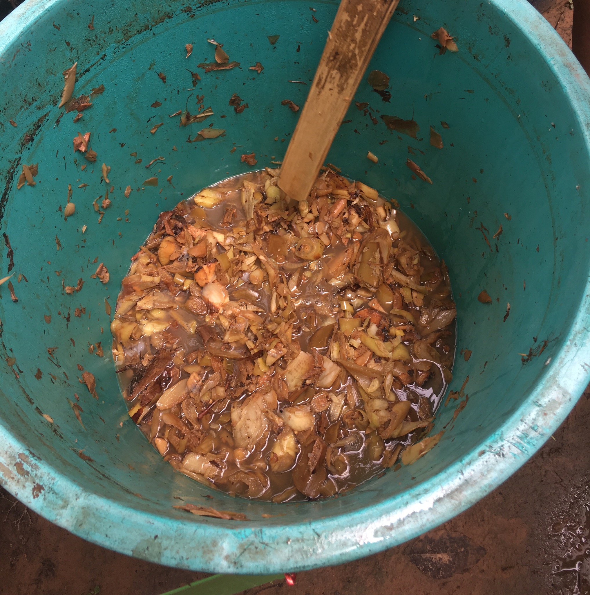 CD TALENT หนองคาย เรียนรู้ ณ ศูนย์บ่มเพาะอำเภอบ้านผือ