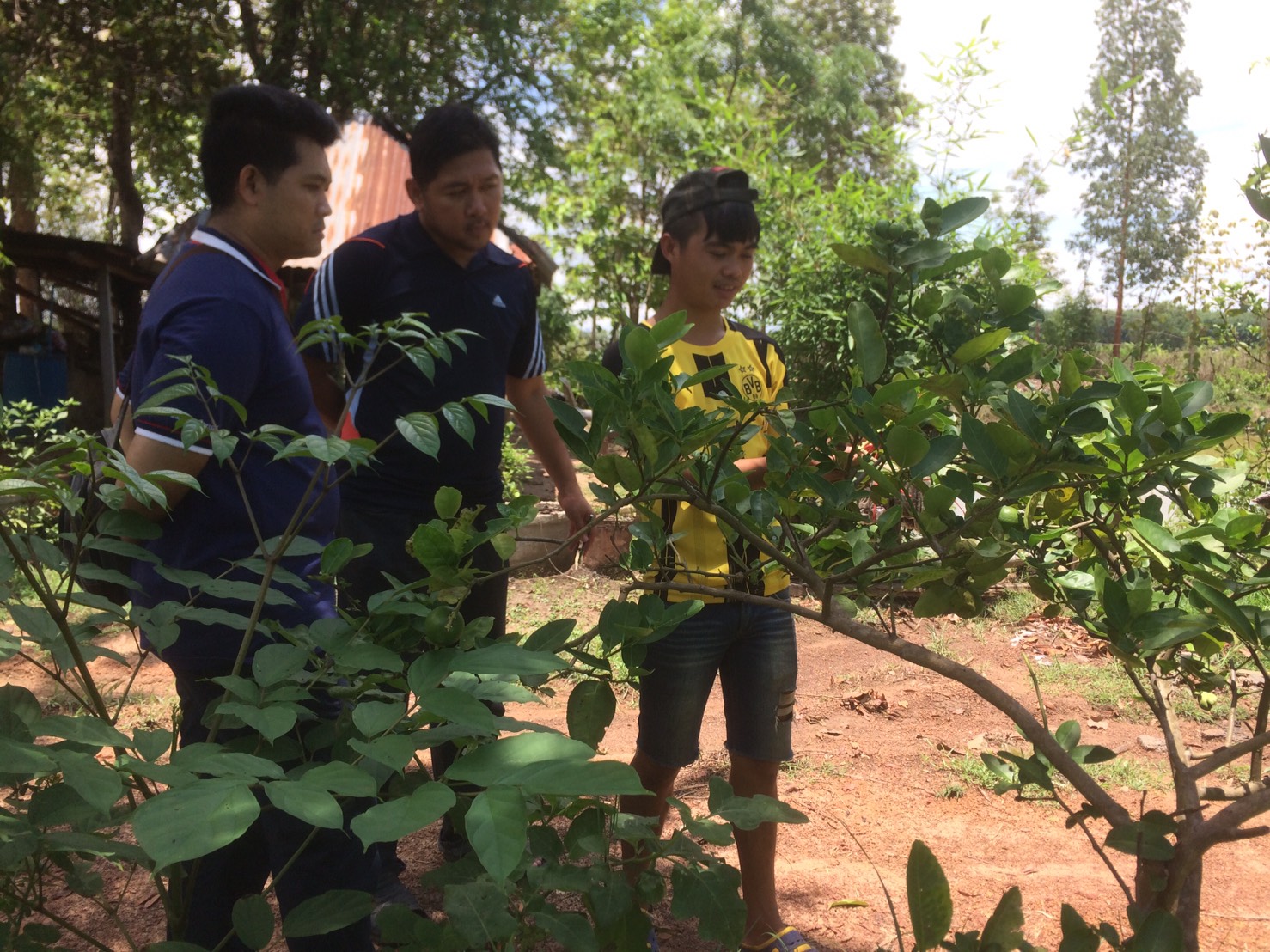 CD TALENT หนองคาย เรียนรู้ ณ ศูนย์บ่มเพาะอำเภอบ้านผือ