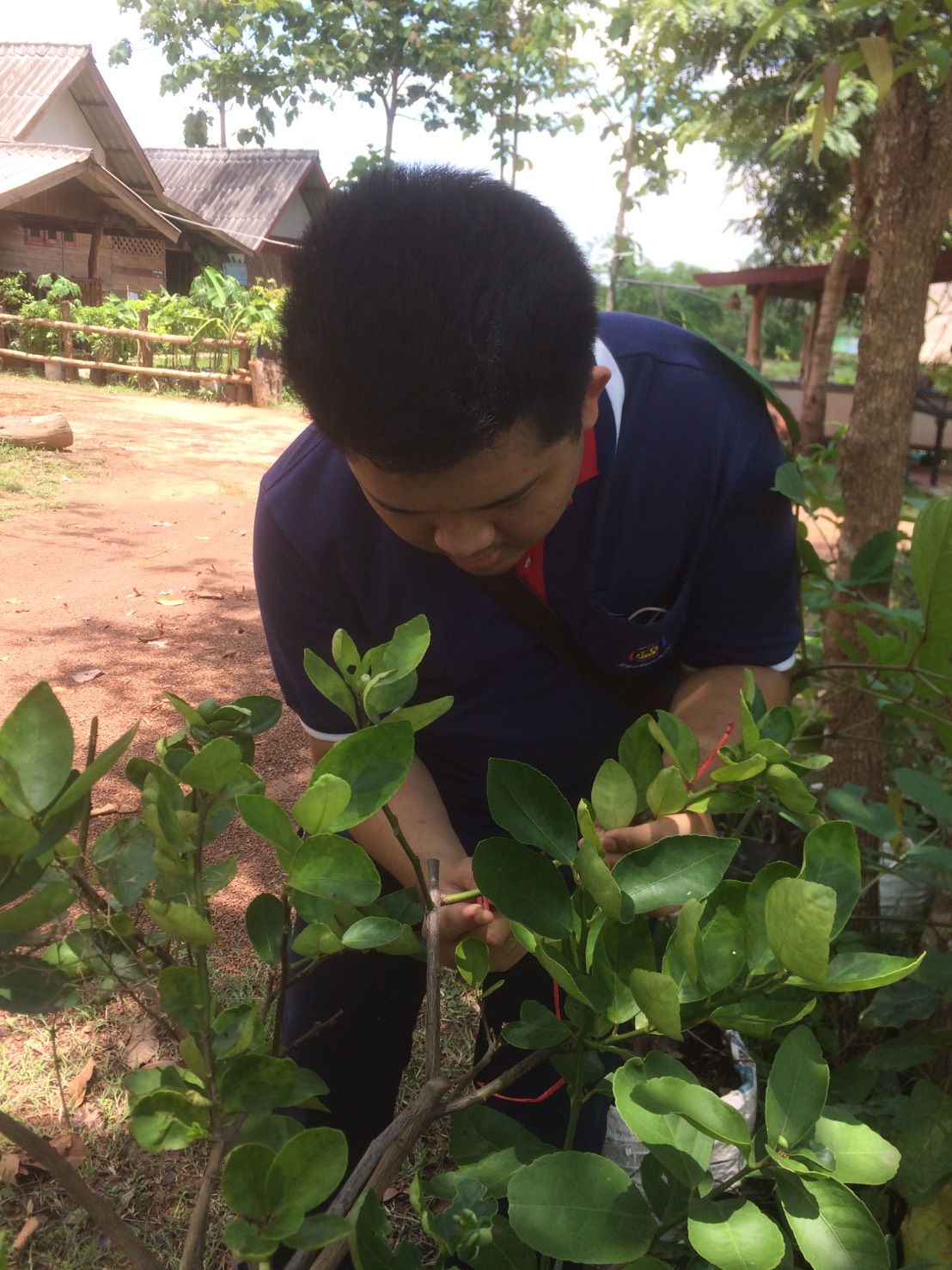 CD TALENT หนองคาย เรียนรู้ ณ ศูนย์บ่มเพาะอำเภอบ้านผือ