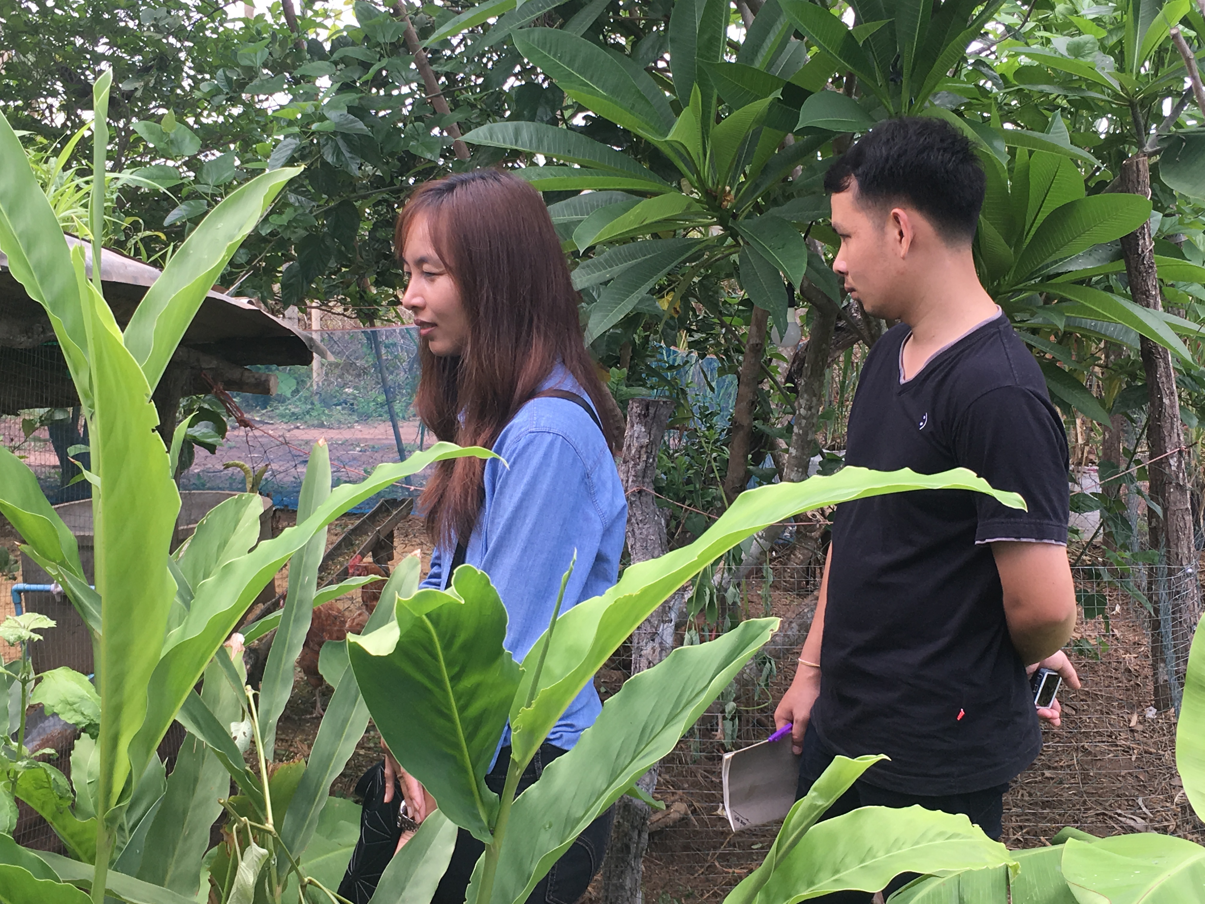 CD TALENT หนองคาย เรียนรู้ ณ ศูนย์บ่มเพาะอำเภอบ้านผือ