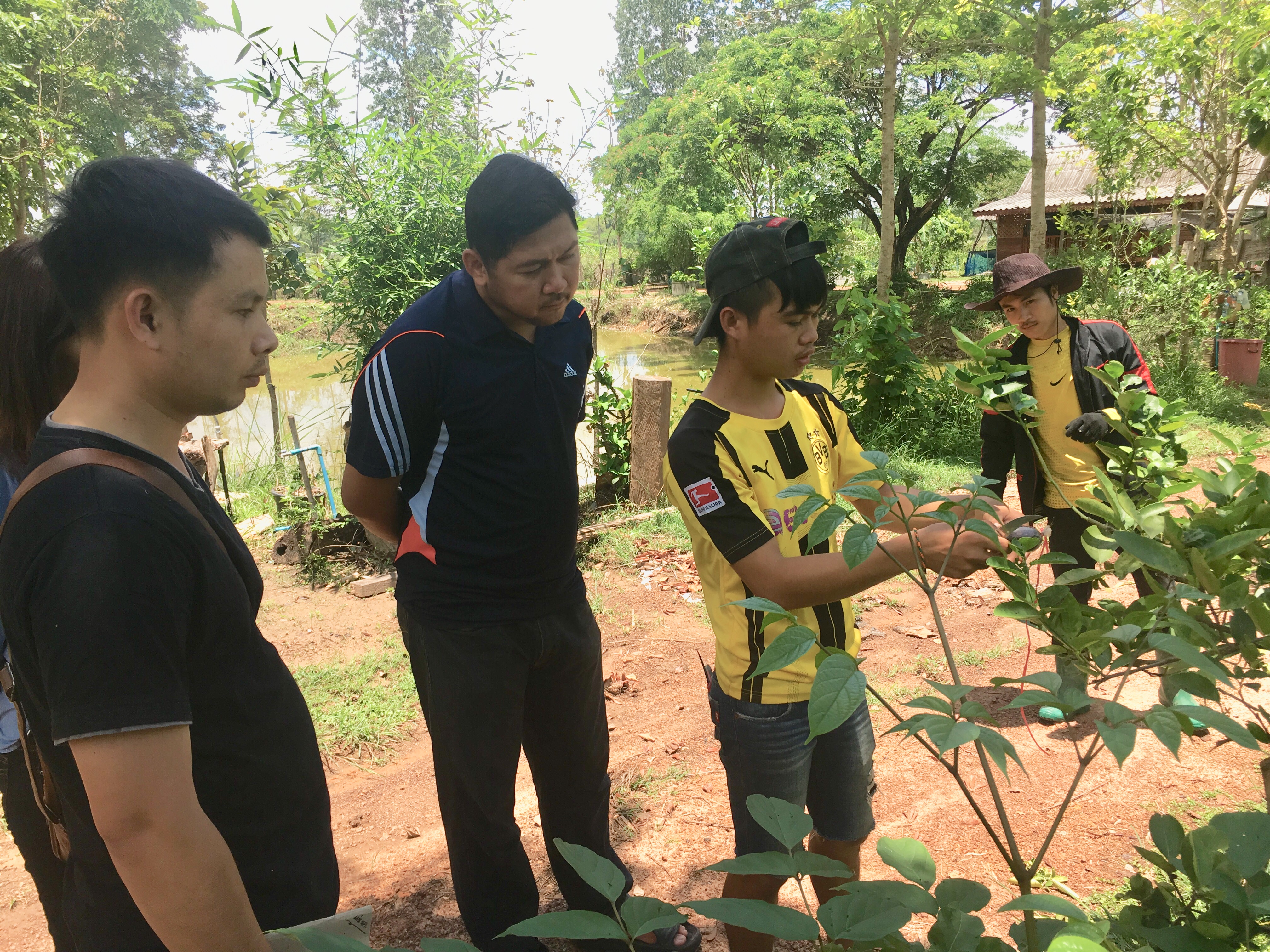 CD TALENT หนองคาย เรียนรู้ ณ ศูนย์บ่มเพาะอำเภอบ้านผือ