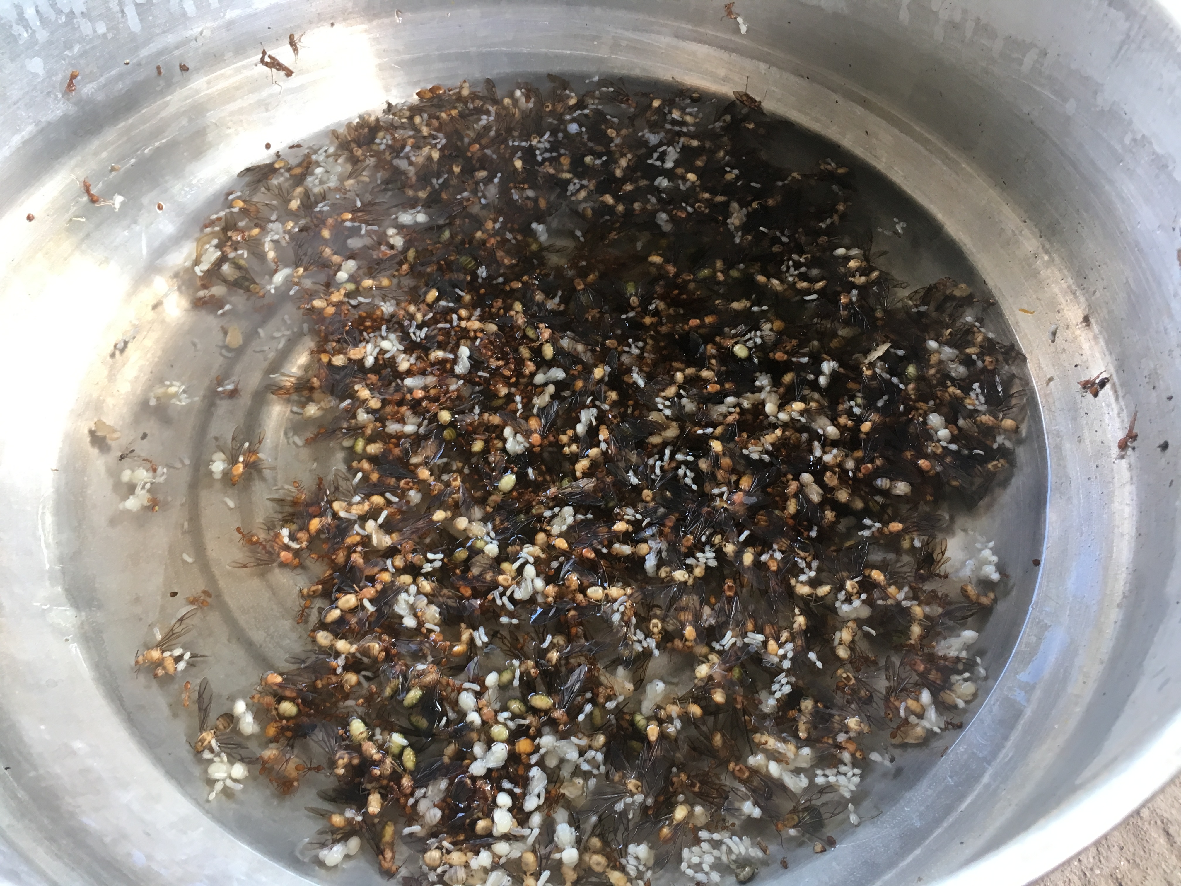 CD TALENT หนองคาย เรียนรู้ ณ ศูนย์บ่มเพาะอำเภอบ้านผือ