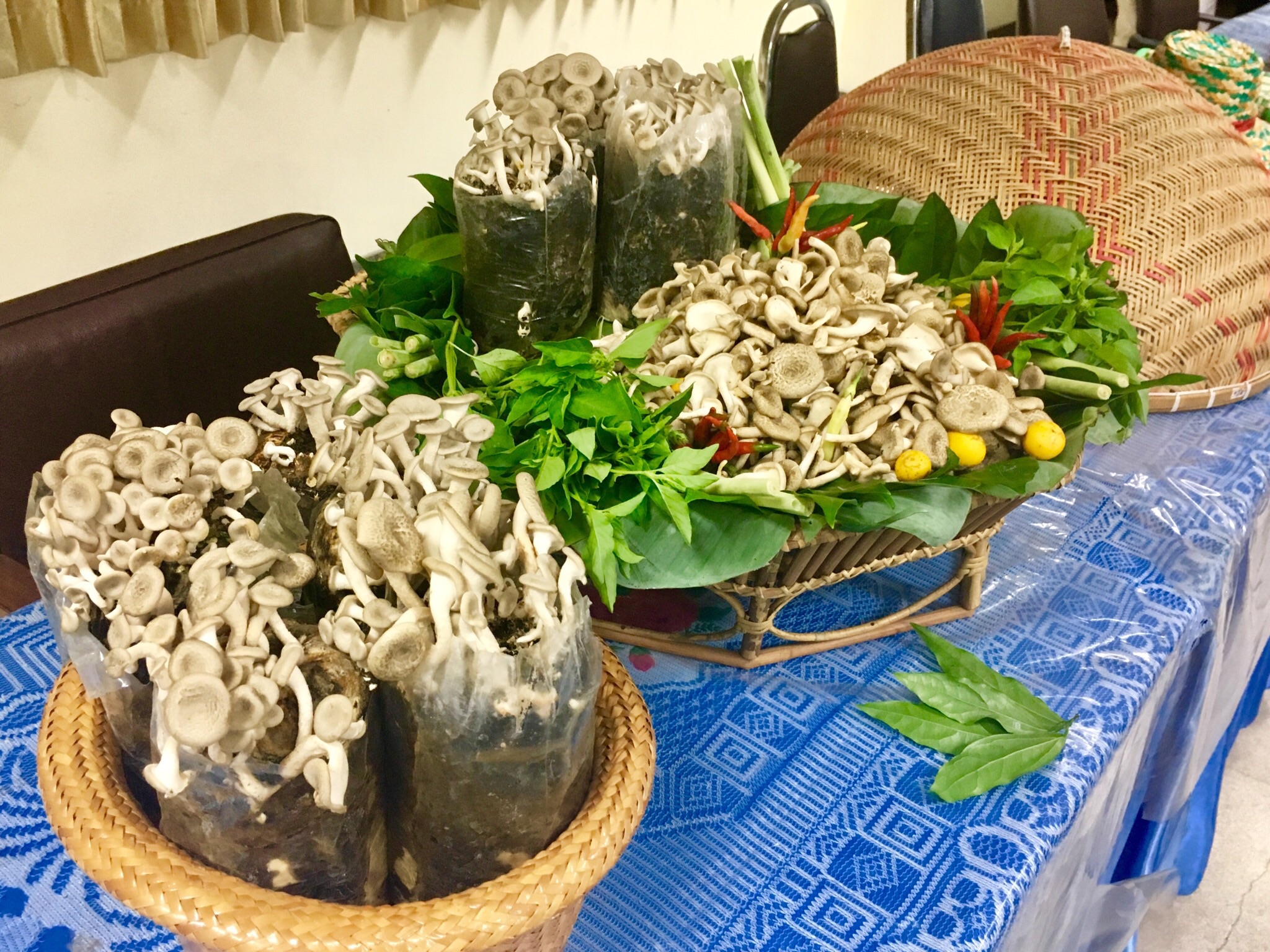 พจ.หนองคาย เปิดการประชุมคณะกรรมการคัดเลือกครัวเรือนสัมมาชีพชุมชนตัวอย่างระดับจังหวัด ประจำปี 2561