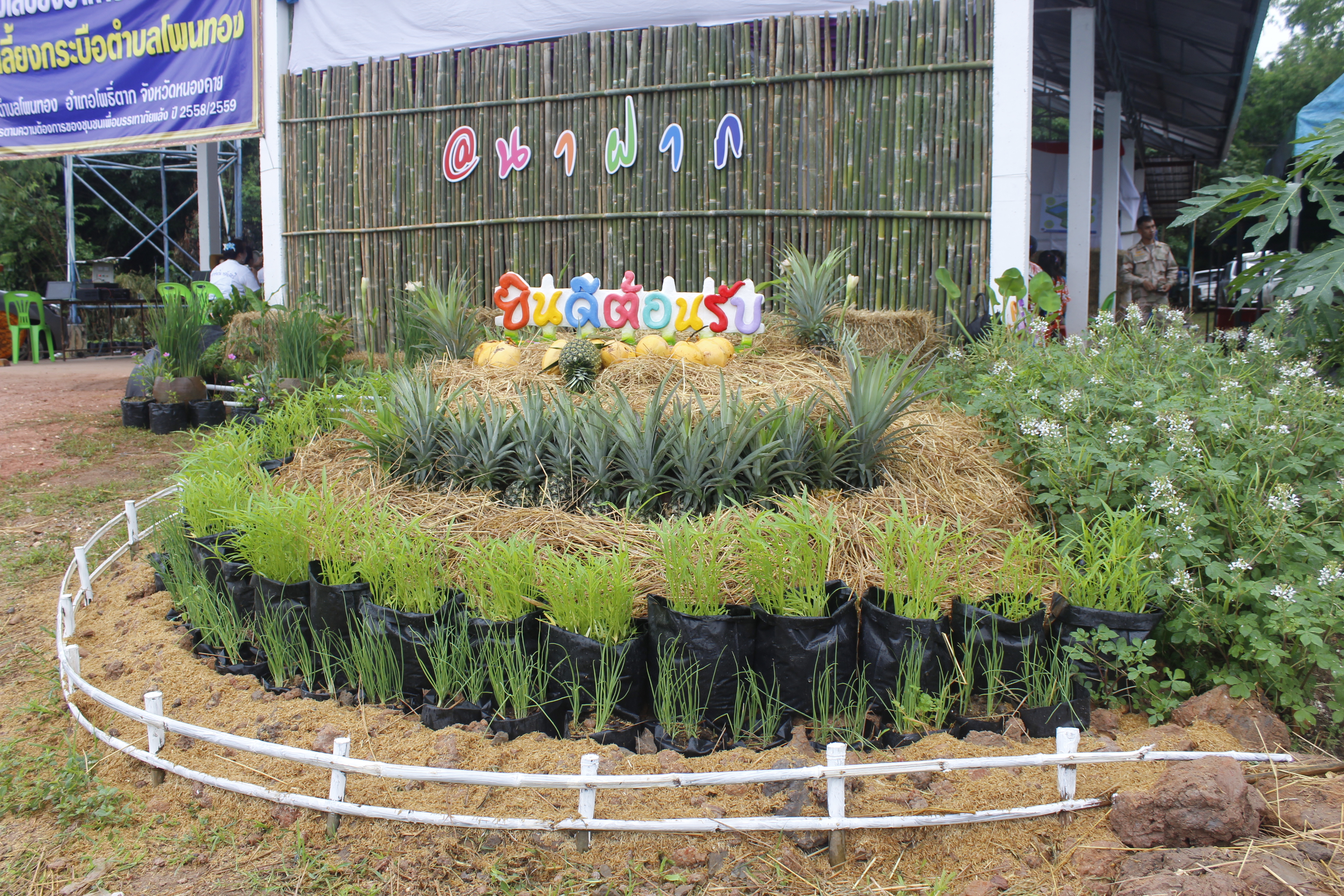 หนองคาย คัดสรรกิจกรรมดีเด่น ณ บ้านนาฝาก หมู่ที่ 7 ตำบลโพนทองอำเภอโพธิ์ตาก