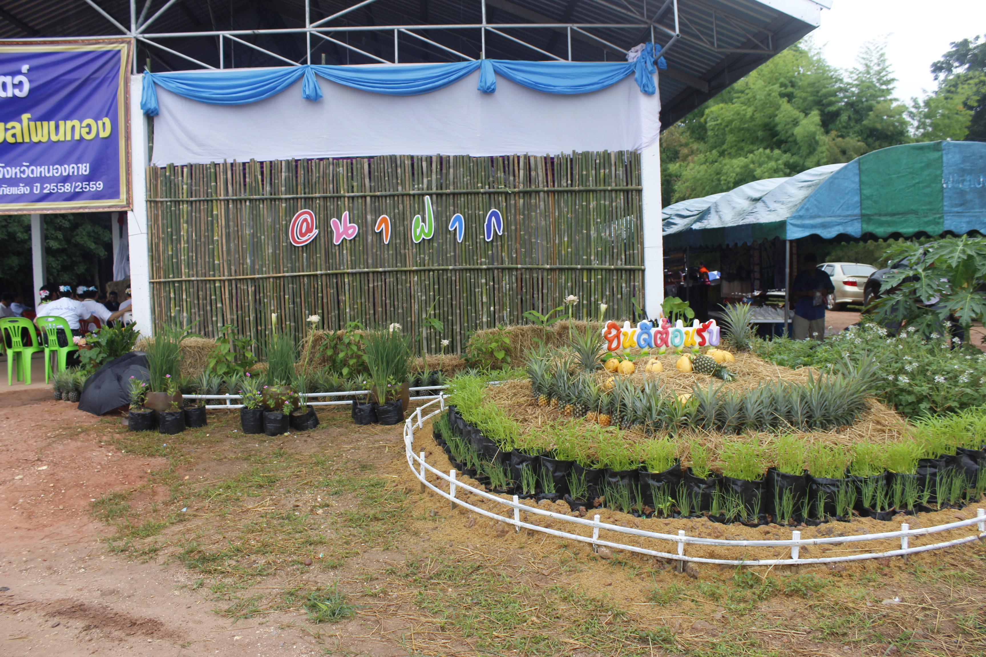 หนองคาย คัดสรรกิจกรรมดีเด่น ณ บ้านนาฝาก หมู่ที่ 7 ตำบลโพนทองอำเภอโพธิ์ตาก