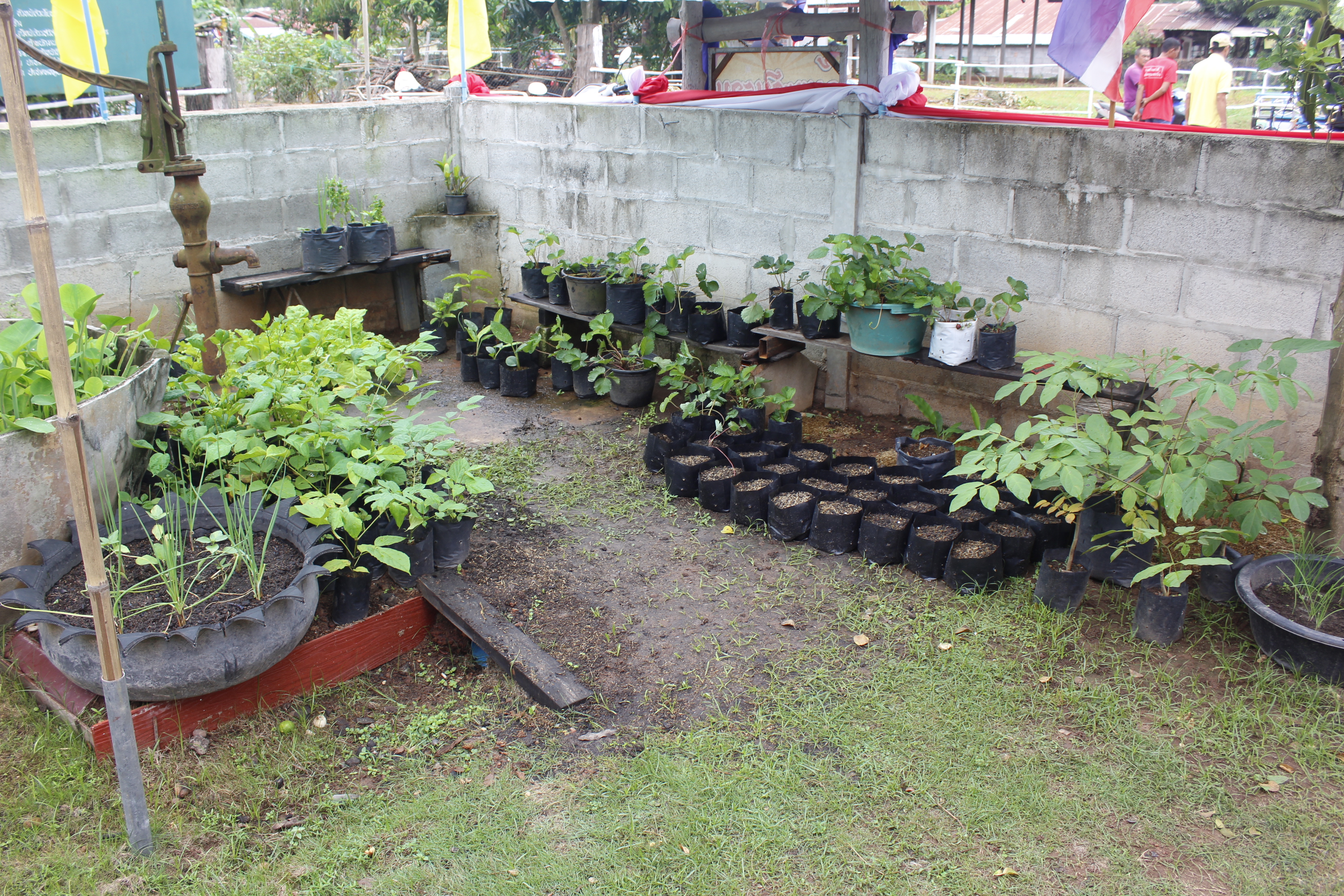 หนองคาย คัดสรรกิจกรรมดีเด่น ณ บ้านนาฝาก หมู่ที่ 7 ตำบลโพนทองอำเภอโพธิ์ตาก