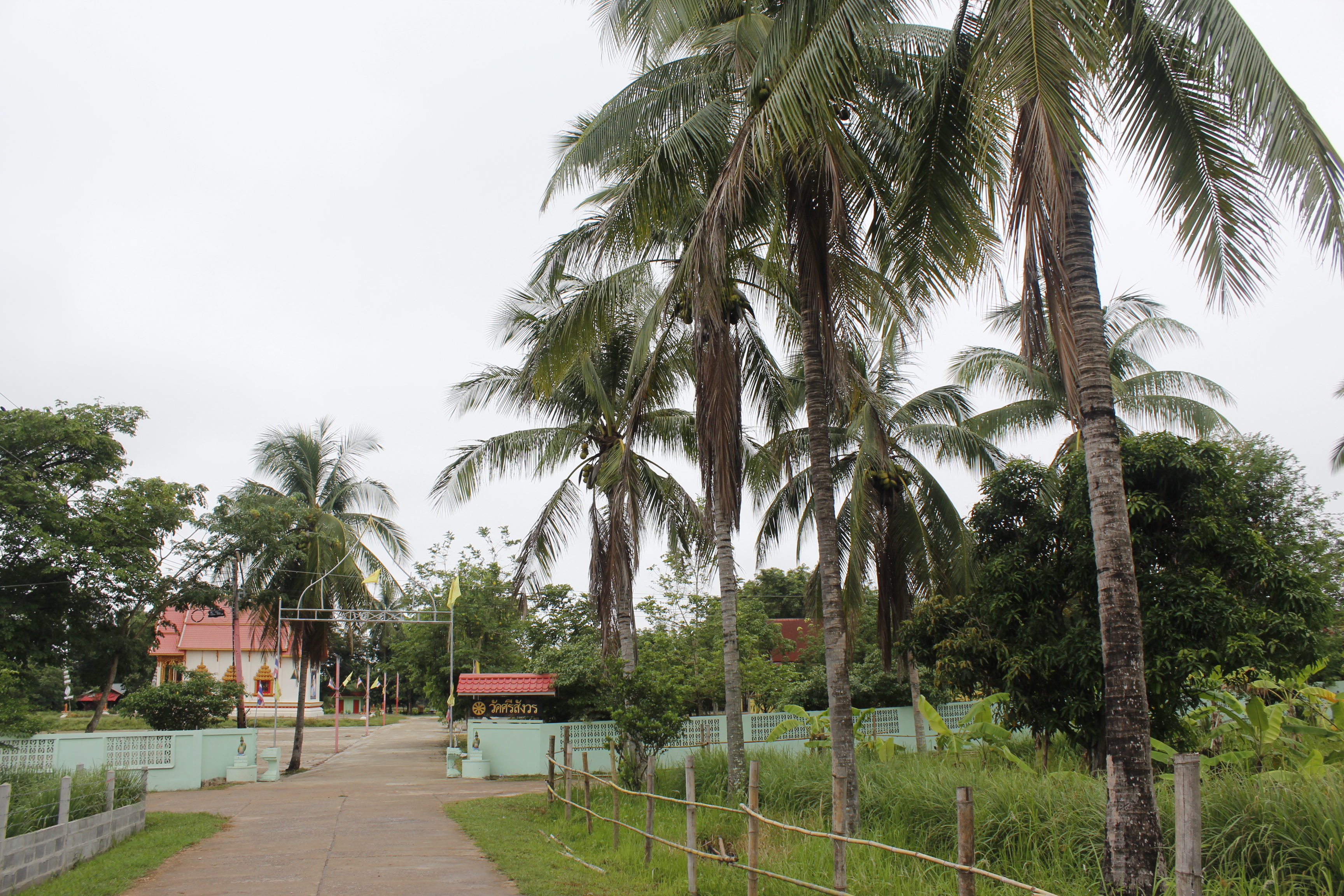 หนองคาย คัดสรรกิจกรรมดีเด่น ณ บ้านนาฝาก หมู่ที่ 7 ตำบลโพนทองอำเภอโพธิ์ตาก