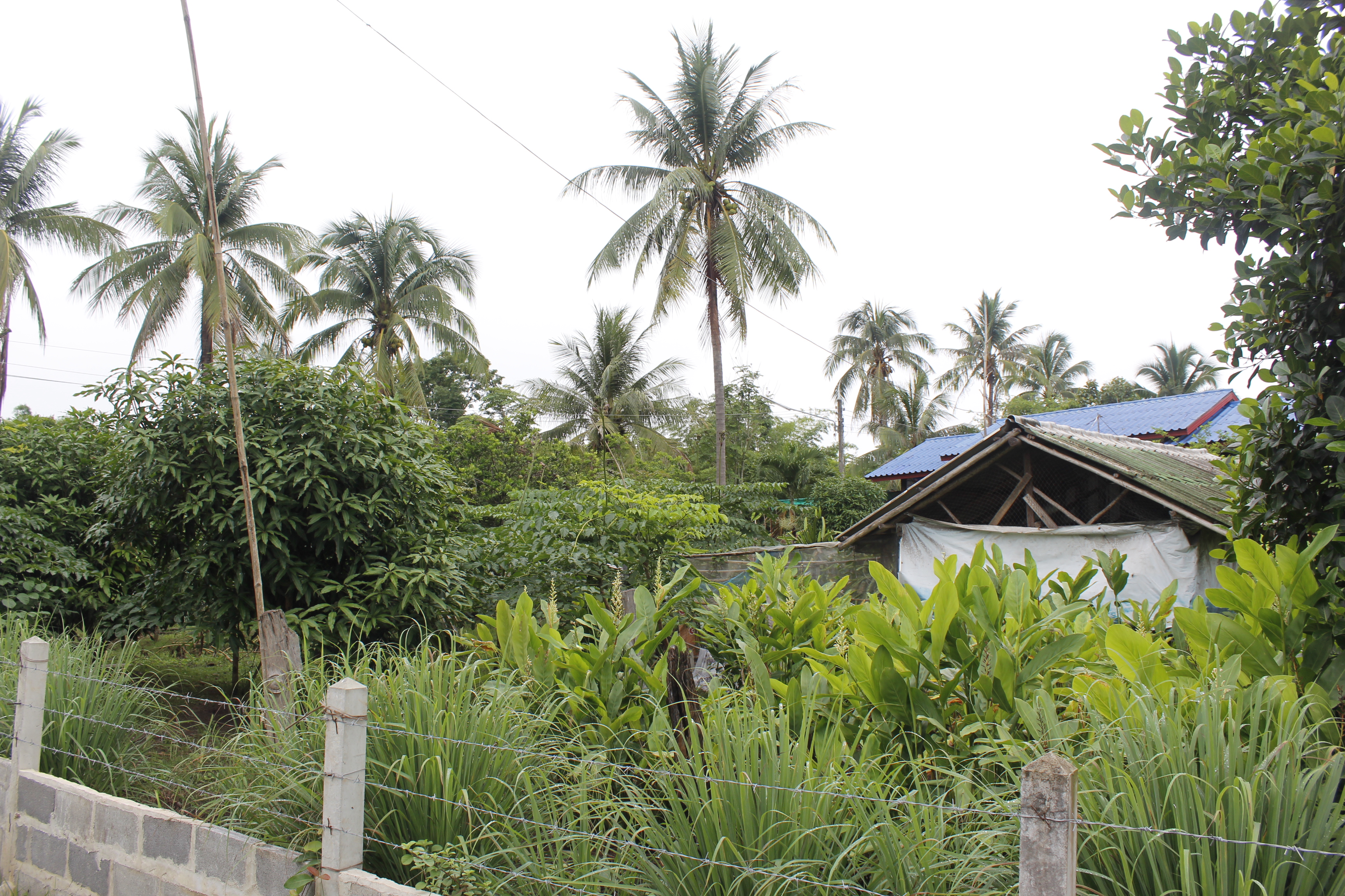 หนองคาย คัดสรรกิจกรรมดีเด่น ณ บ้านนาฝาก หมู่ที่ 7 ตำบลโพนทองอำเภอโพธิ์ตาก