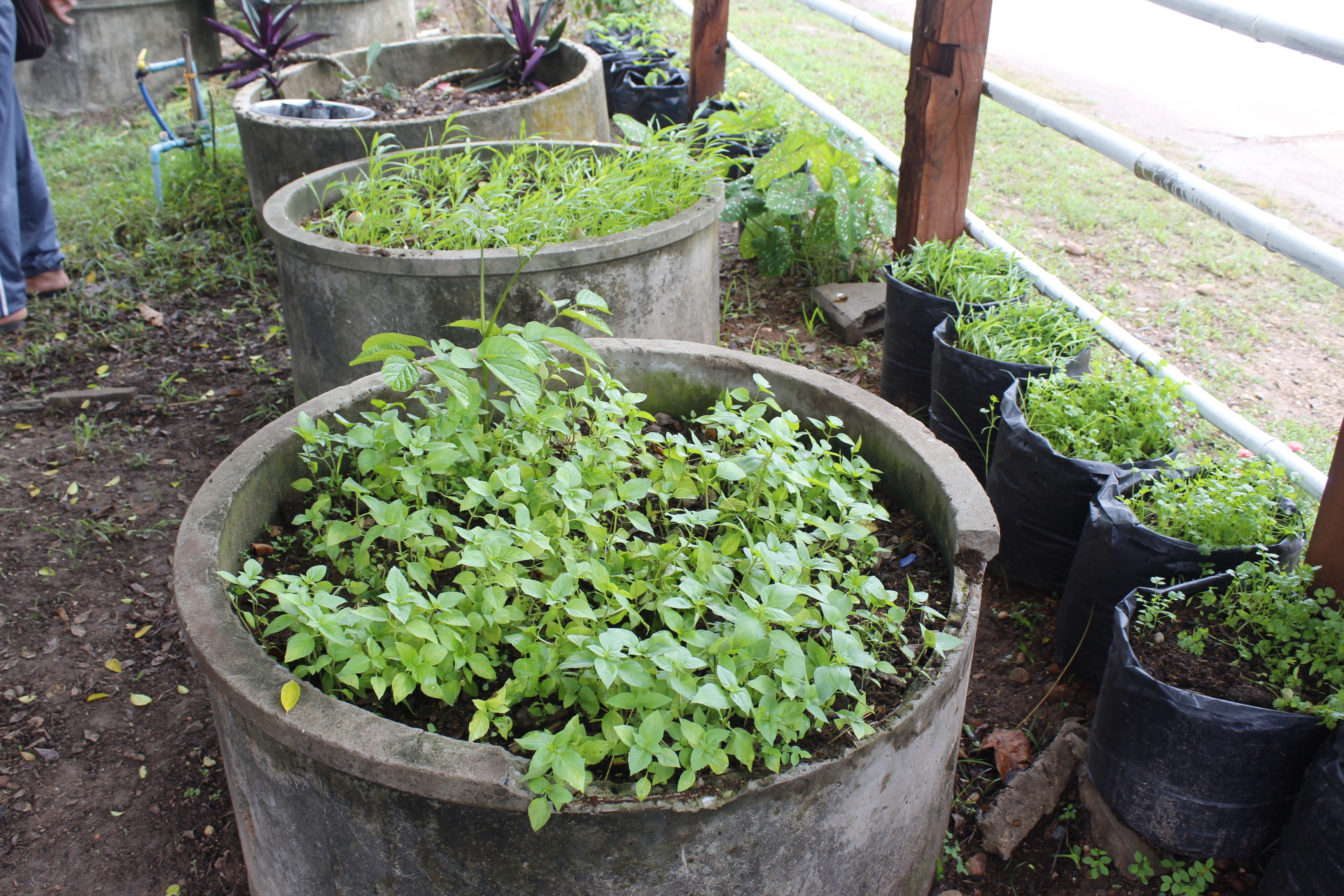 หนองคาย คัดสรรกิจกรรมดีเด่น ณ บ้านนาฝาก หมู่ที่ 7 ตำบลโพนทองอำเภอโพธิ์ตาก