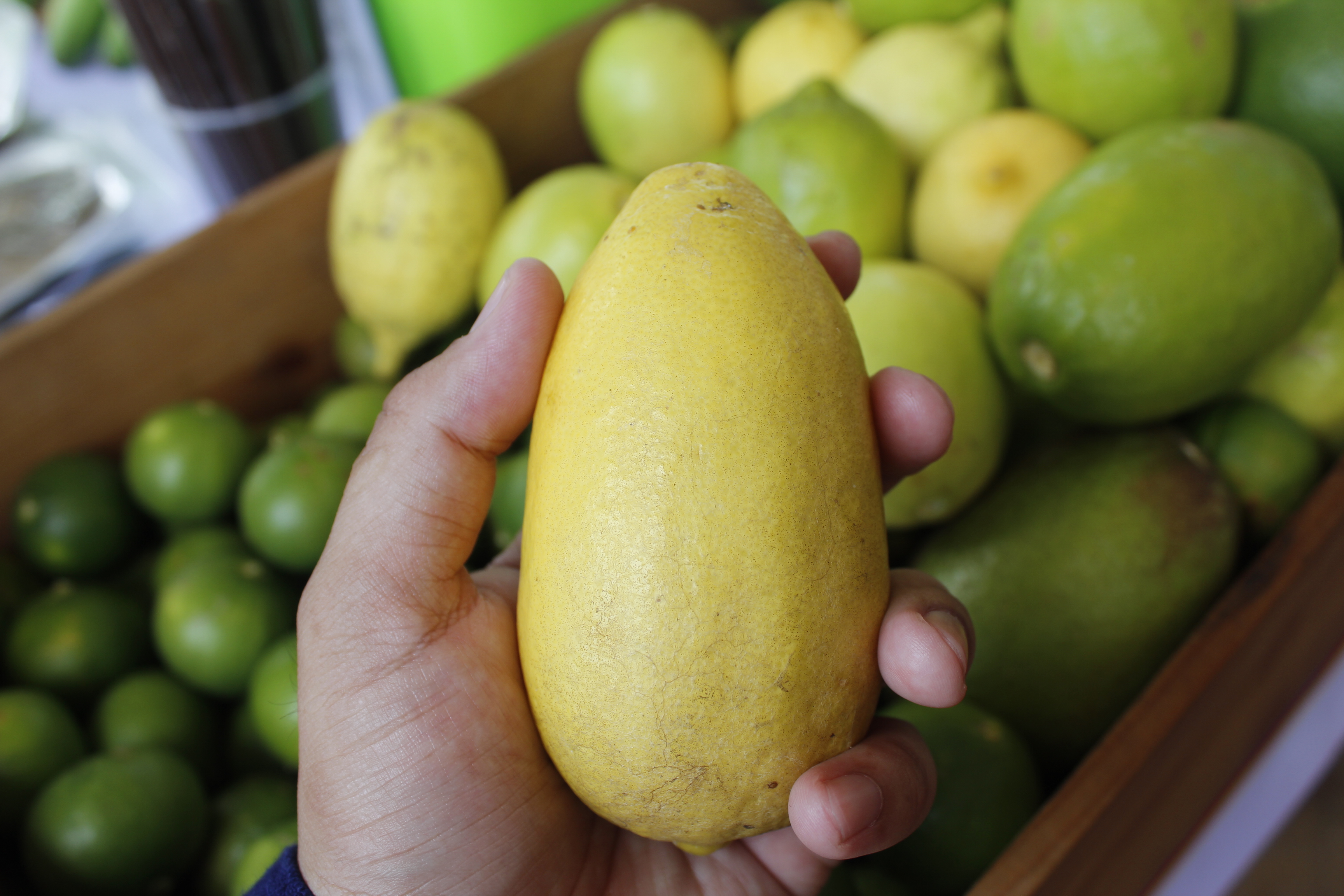 หนองคาย คัดสรรกิจกรรมดีเด่น ณ  บ้านเทวี หมู่ที่ 7 ตำบลบ้านเดื่อ อำเภอท่าบ่อ