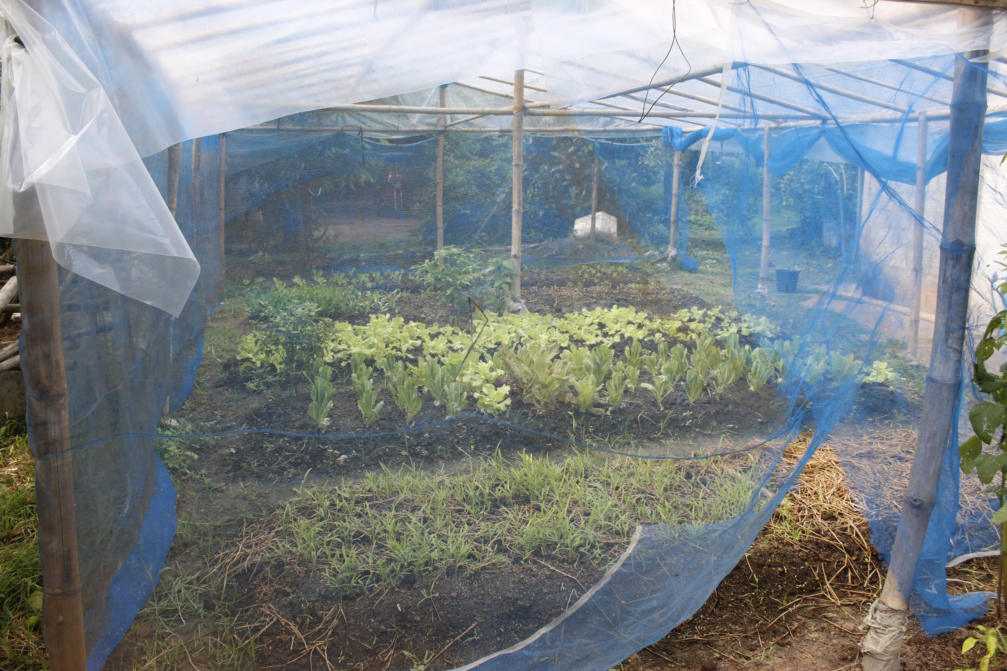 หนองคาย คัดสรรกิจกรรมดีเด่น ณ  บ้านเทวี หมู่ที่ 7 ตำบลบ้านเดื่อ อำเภอท่าบ่อ