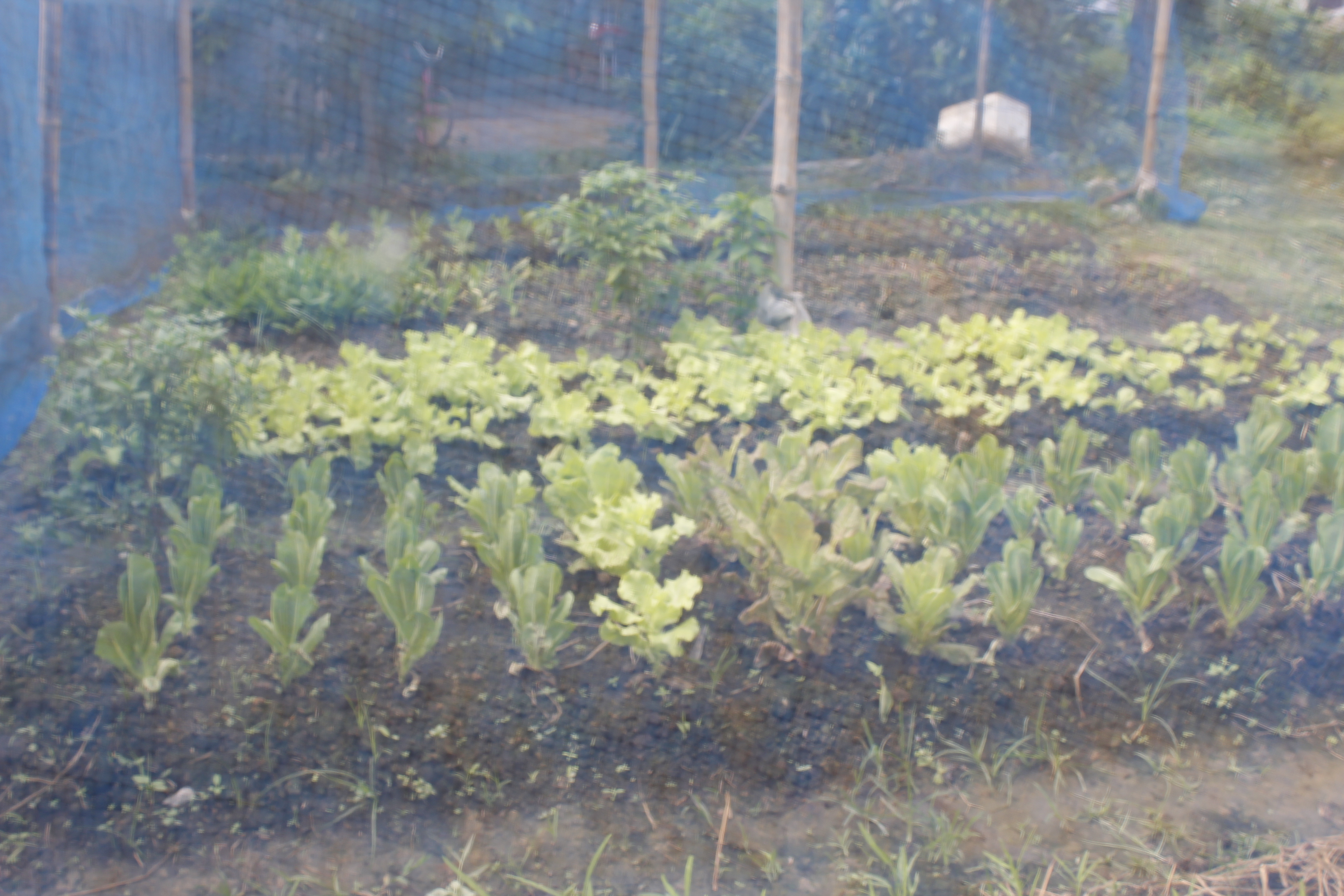 หนองคาย คัดสรรกิจกรรมดีเด่น ณ  บ้านเทวี หมู่ที่ 7 ตำบลบ้านเดื่อ อำเภอท่าบ่อ