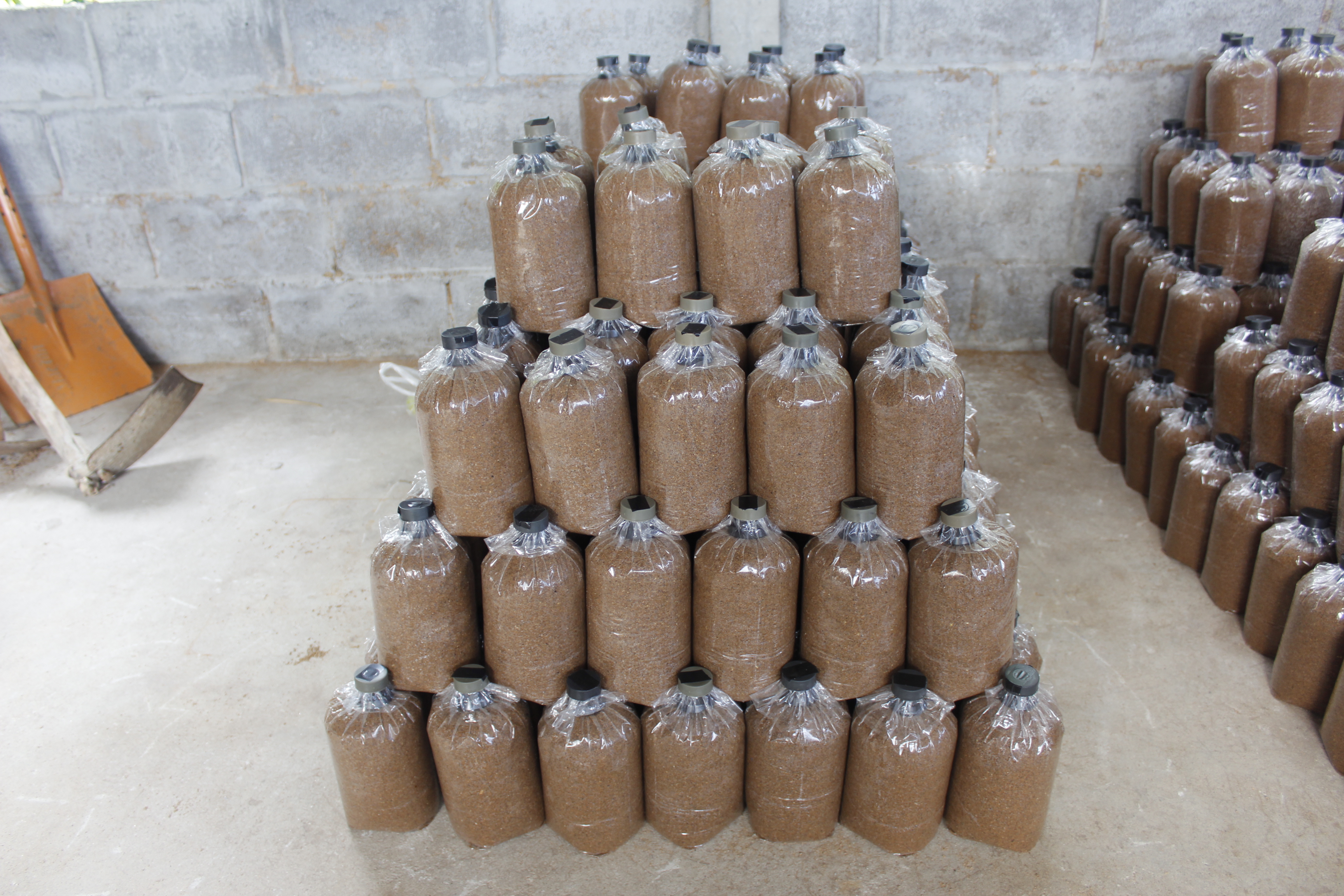 หนองคาย คัดสรรกิจกรรมดีเด่น ณ  บ้านเทวี หมู่ที่ 7 ตำบลบ้านเดื่อ อำเภอท่าบ่อ