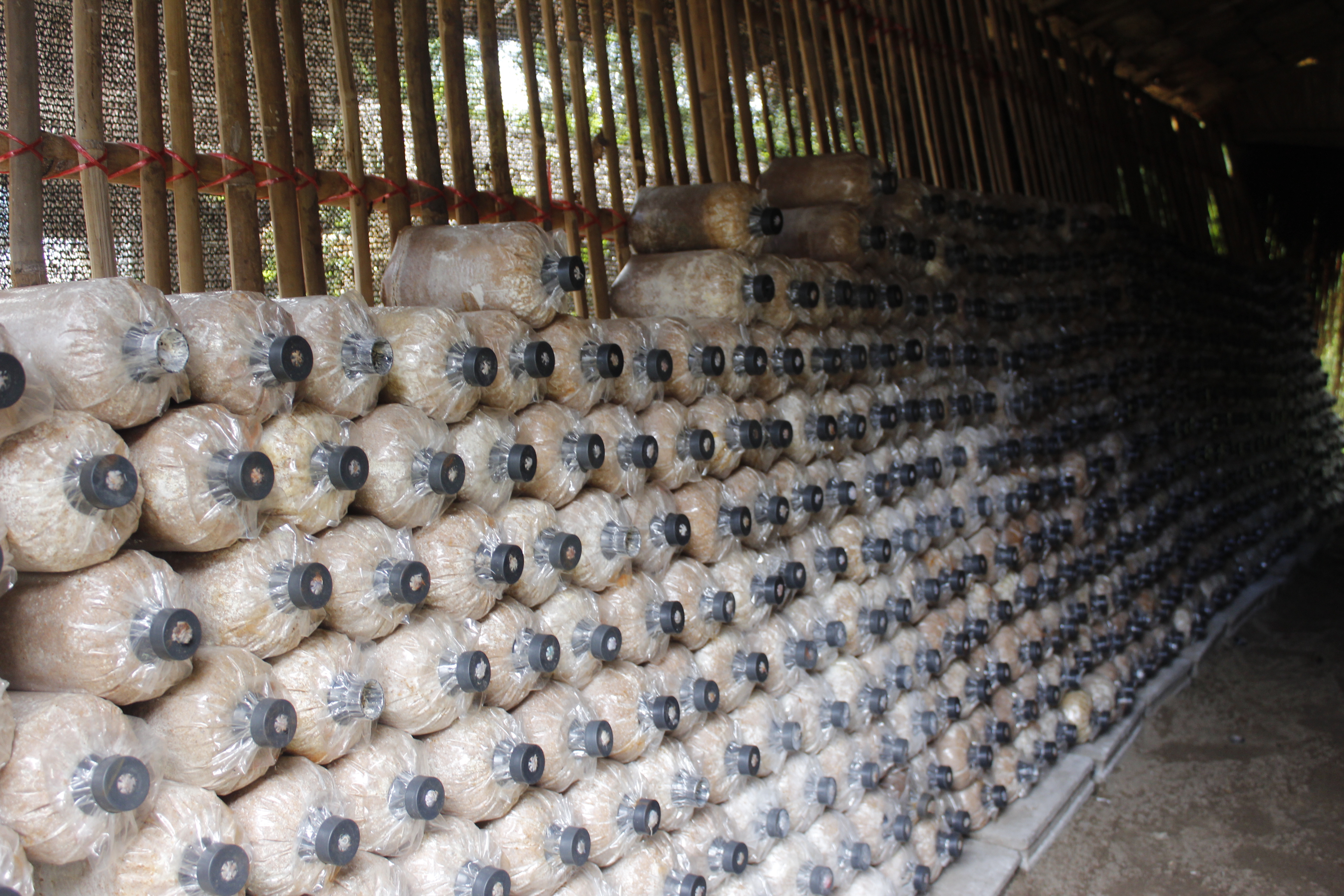 หนองคาย คัดสรรกิจกรรมดีเด่น ณ  บ้านเทวี หมู่ที่ 7 ตำบลบ้านเดื่อ อำเภอท่าบ่อ