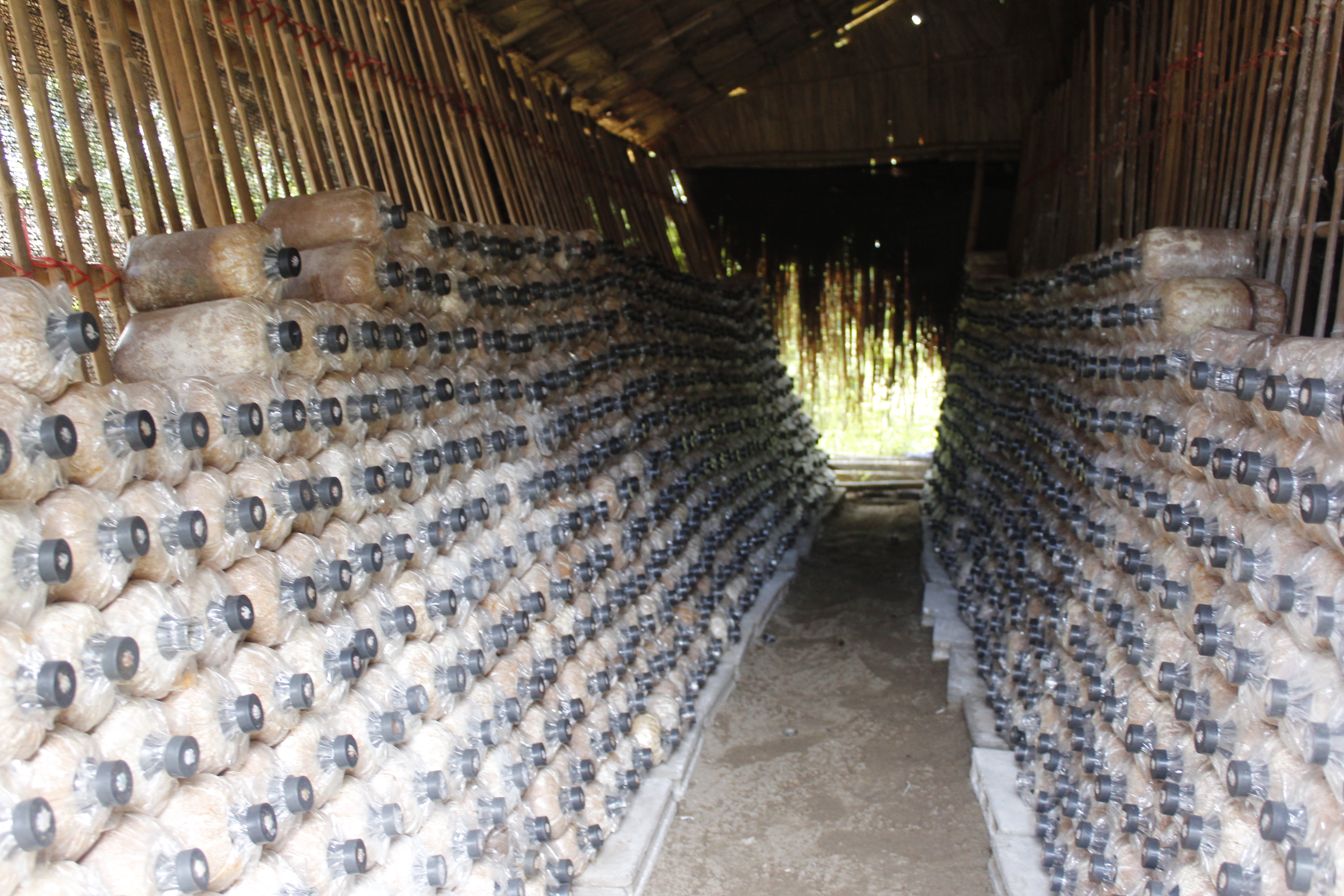 หนองคาย คัดสรรกิจกรรมดีเด่น ณ  บ้านเทวี หมู่ที่ 7 ตำบลบ้านเดื่อ อำเภอท่าบ่อ