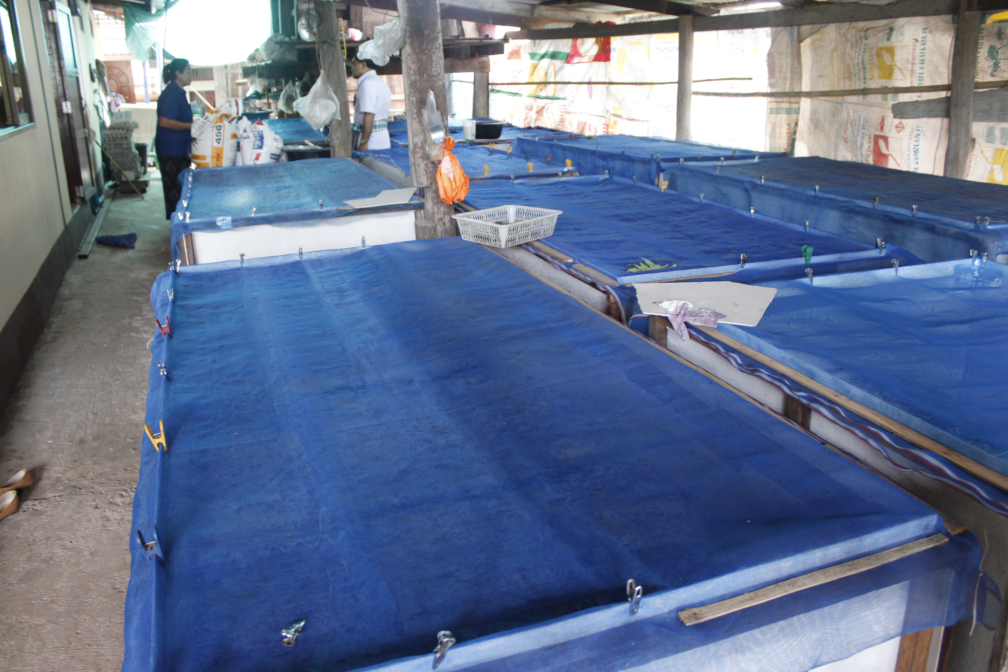 หนองคาย คัดสรรกิจกรรมดีเด่น ณ  บ้านเทวี หมู่ที่ 7 ตำบลบ้านเดื่อ อำเภอท่าบ่อ