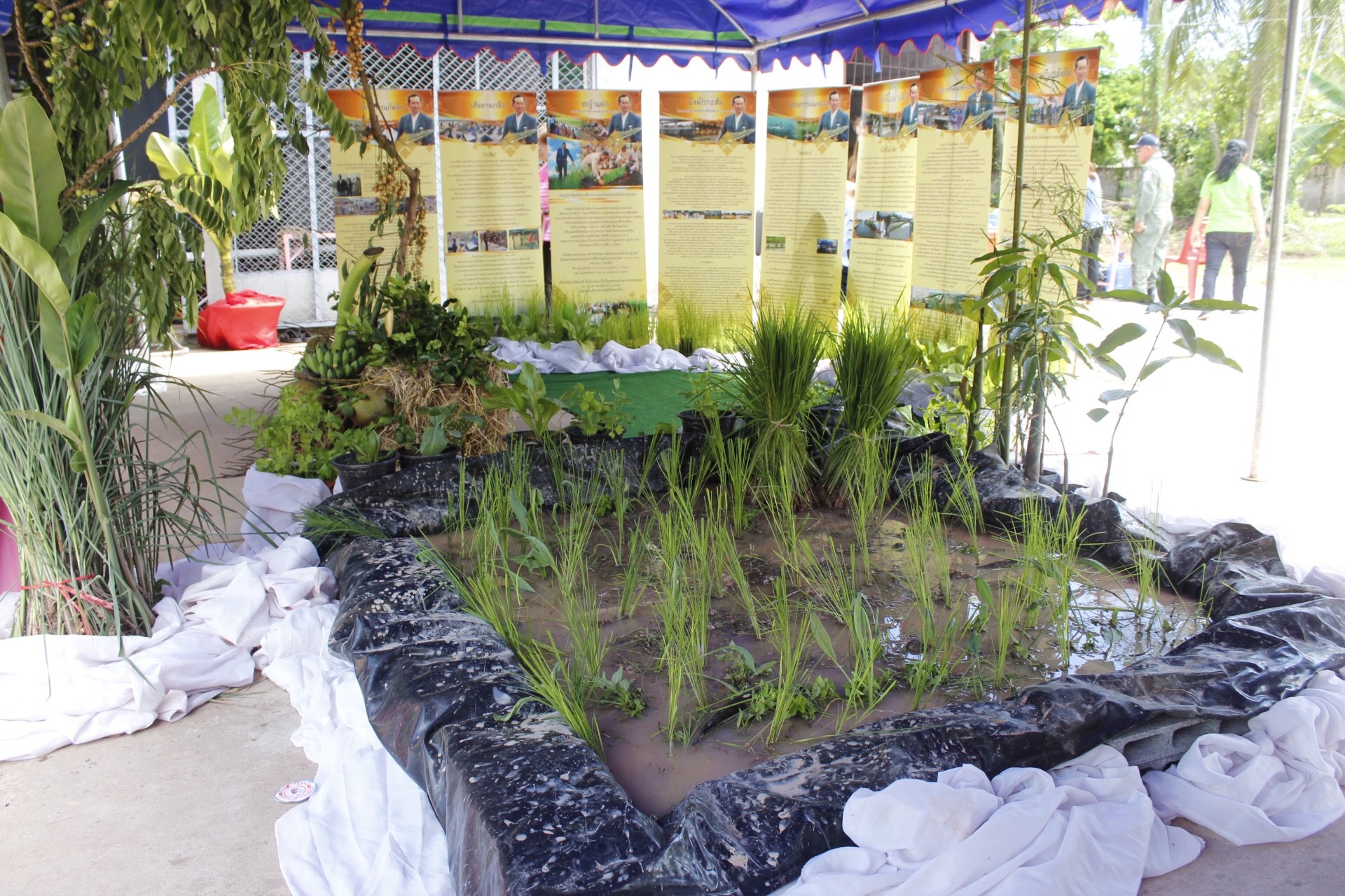 หนองคาย คัดสรรกิจกรรมดีเด่น ณ บ้านนาไหม หมู่ที่ 12 ตำบลสระใคร อำเภอเสระใคร