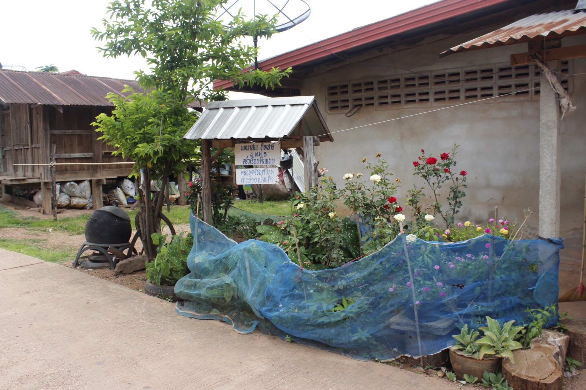 หนองคาย คัดสรรกิจกรรมดีเด่น  ณ บ้านสังกะลี หมู่ที่ 5 ตำบลแก้งไก่ อำเภอสังคม