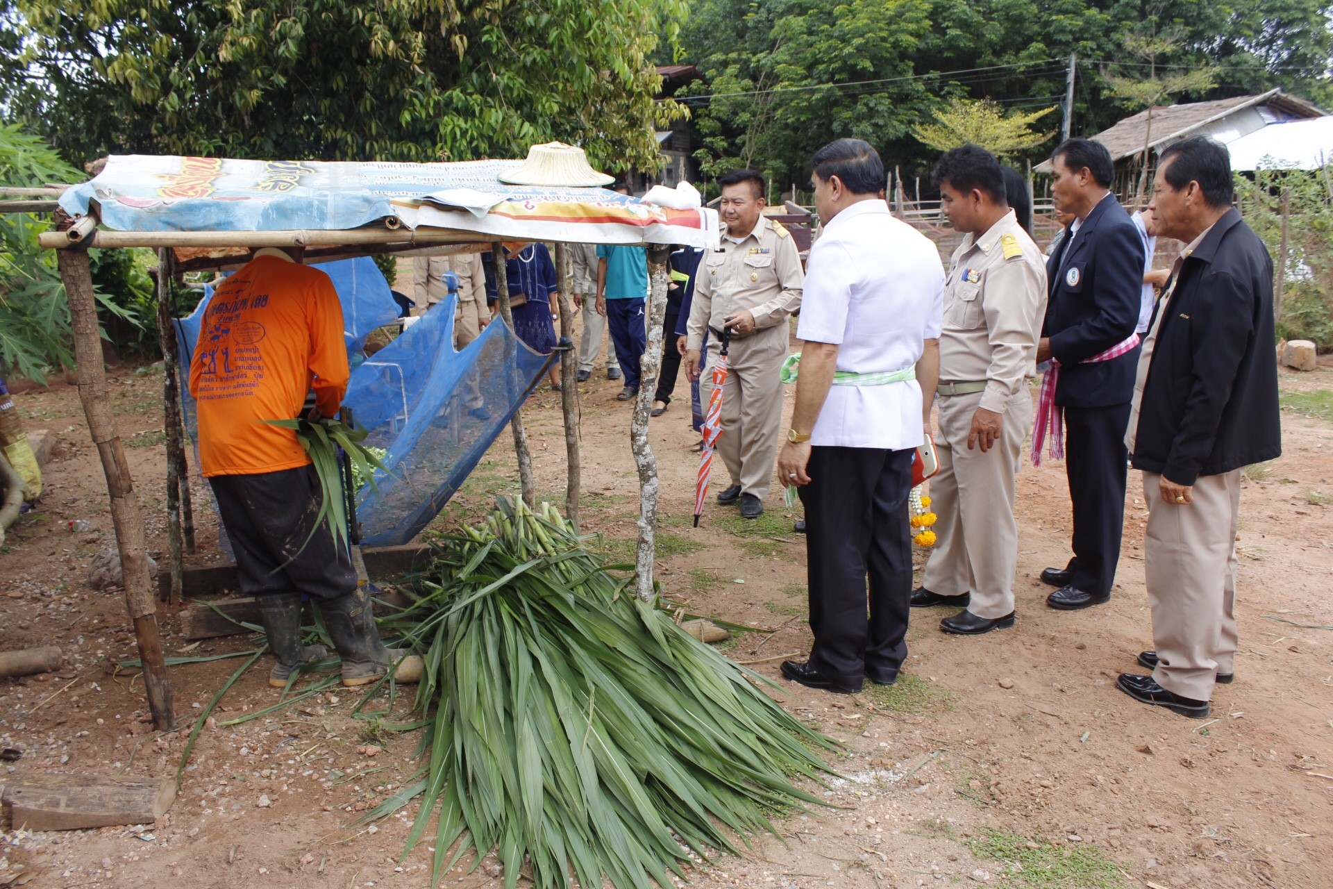 หนองคาย คัดสรรกิจกรรมดีเด่น  ณ บ้านสังกะลี หมู่ที่ 5 ตำบลแก้งไก่ อำเภอสังคม