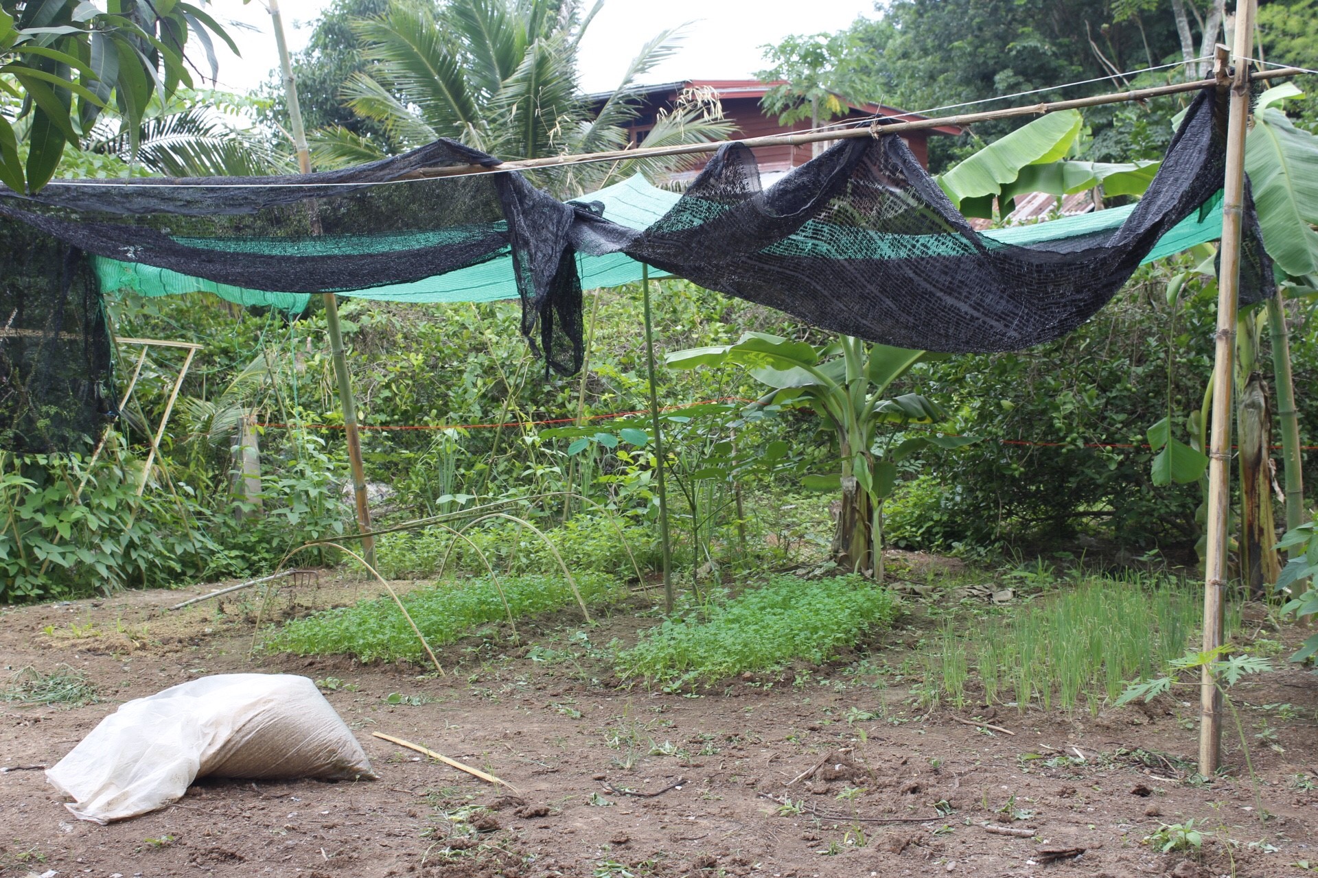 หนองคาย คัดสรรกิจกรรมดีเด่น  ณ บ้านสังกะลี หมู่ที่ 5 ตำบลแก้งไก่ อำเภอสังคม