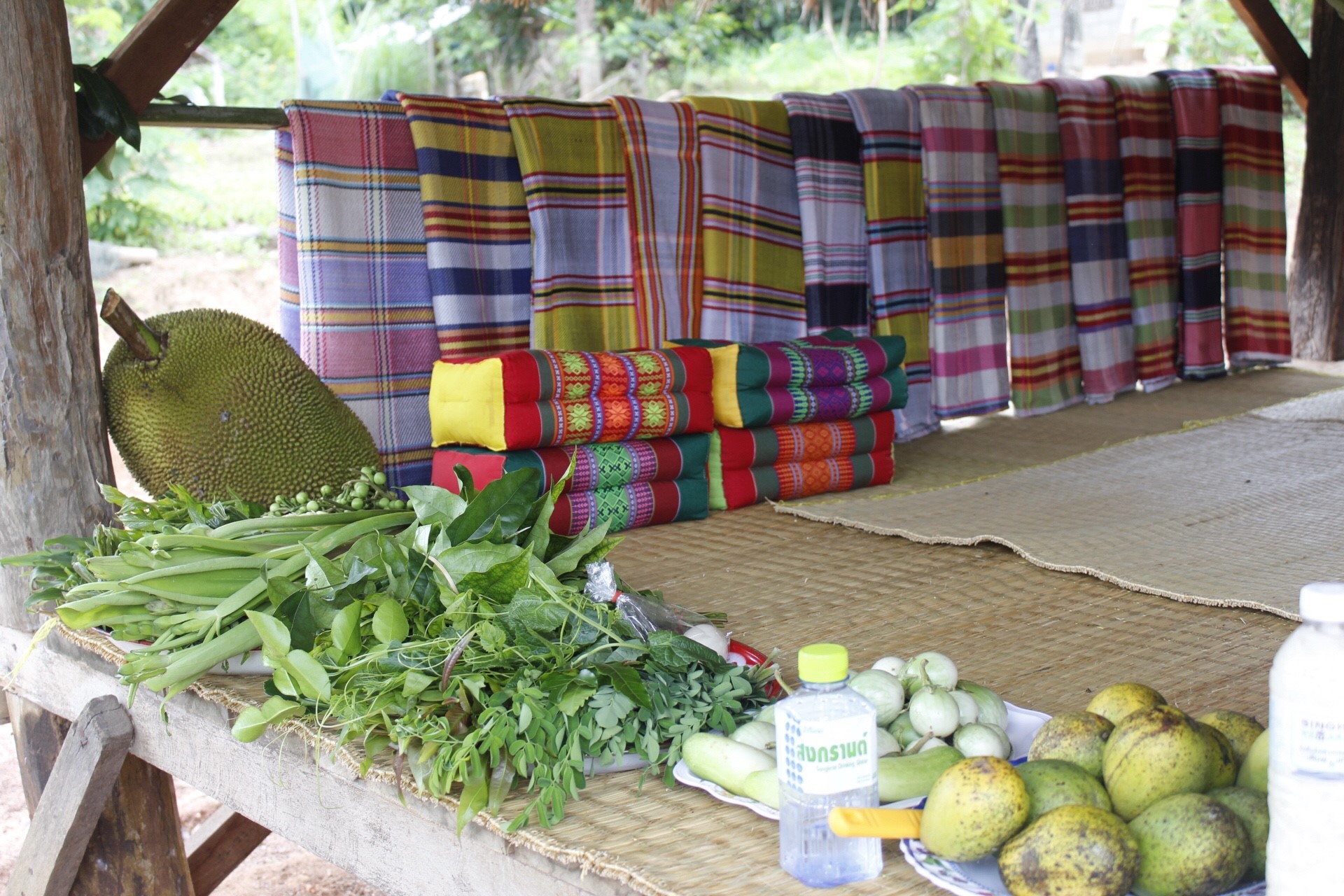 หนองคาย คัดสรรกิจกรรมดีเด่น  ณ บ้านสังกะลี หมู่ที่ 5 ตำบลแก้งไก่ อำเภอสังคม