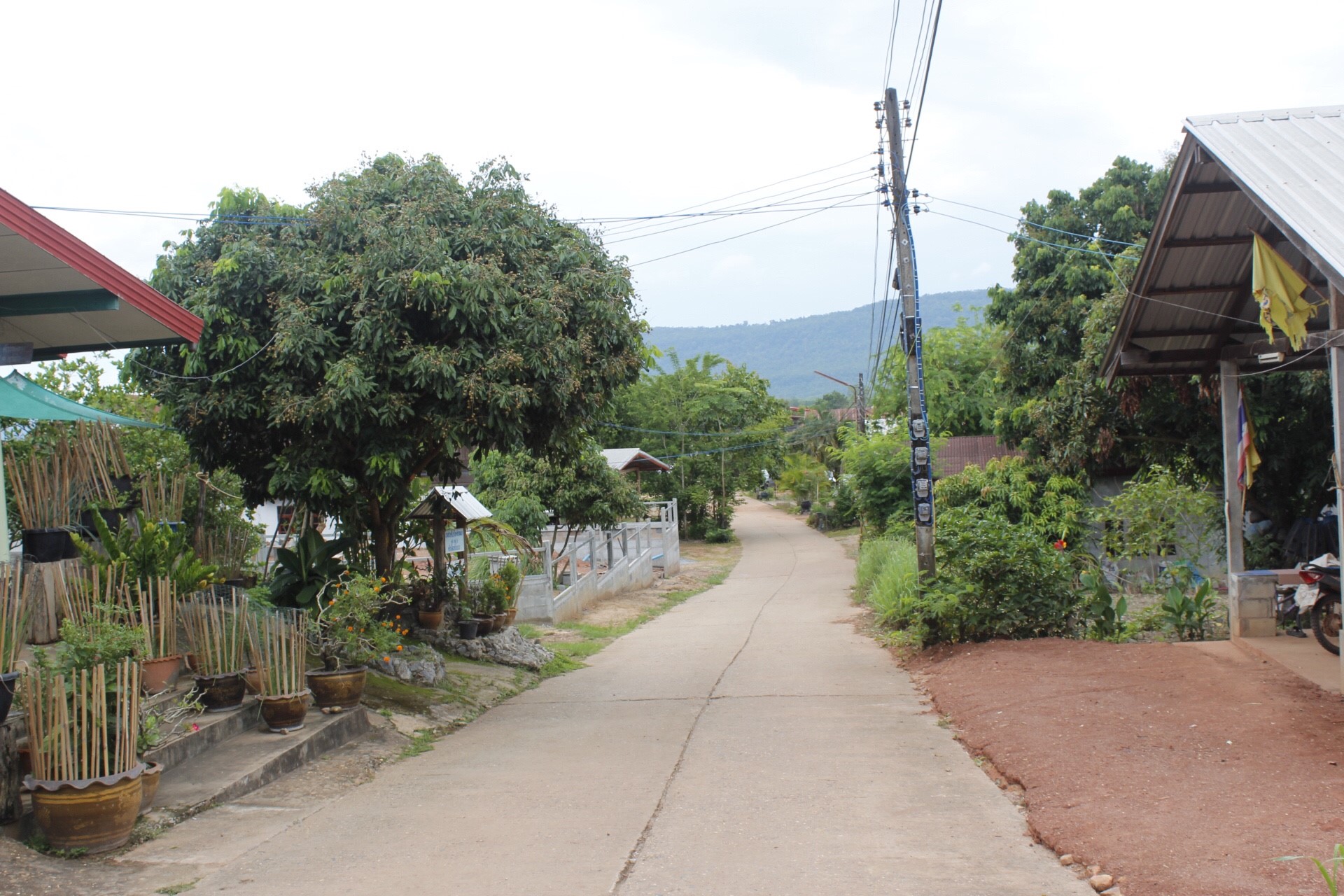 หนองคาย คัดสรรกิจกรรมดีเด่น  ณ บ้านสังกะลี หมู่ที่ 5 ตำบลแก้งไก่ อำเภอสังคม