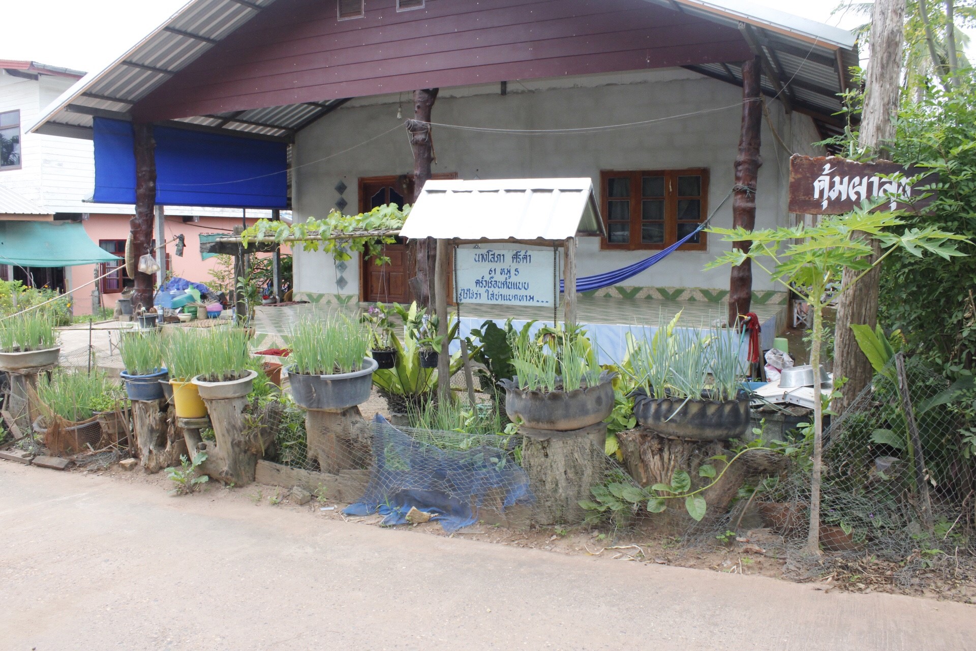 หนองคาย คัดสรรกิจกรรมดีเด่น  ณ บ้านสังกะลี หมู่ที่ 5 ตำบลแก้งไก่ อำเภอสังคม