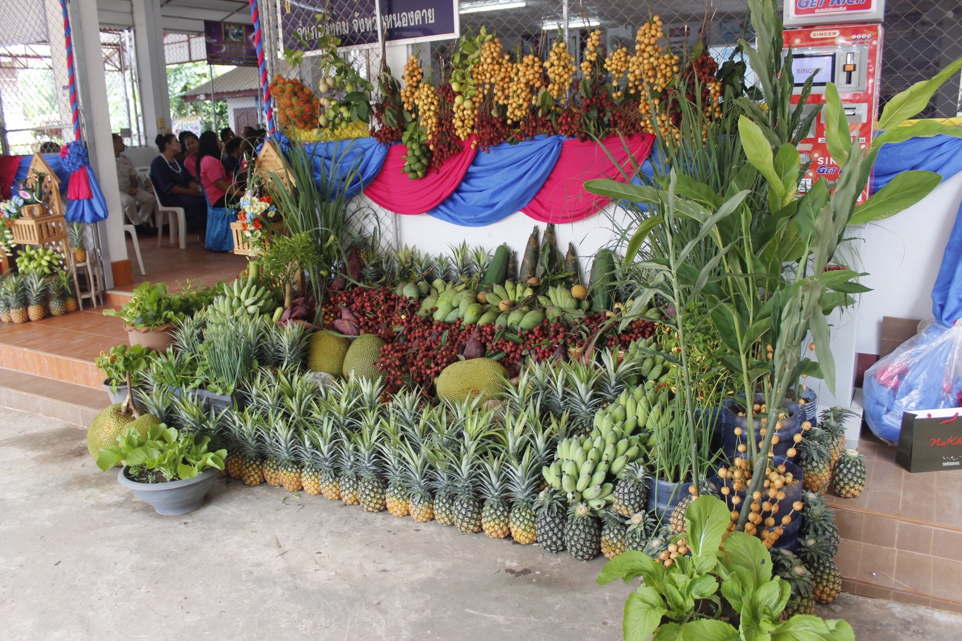 หนองคาย คัดสรรกิจกรรมดีเด่น  ณ บ้านสังกะลี หมู่ที่ 5 ตำบลแก้งไก่ อำเภอสังคม