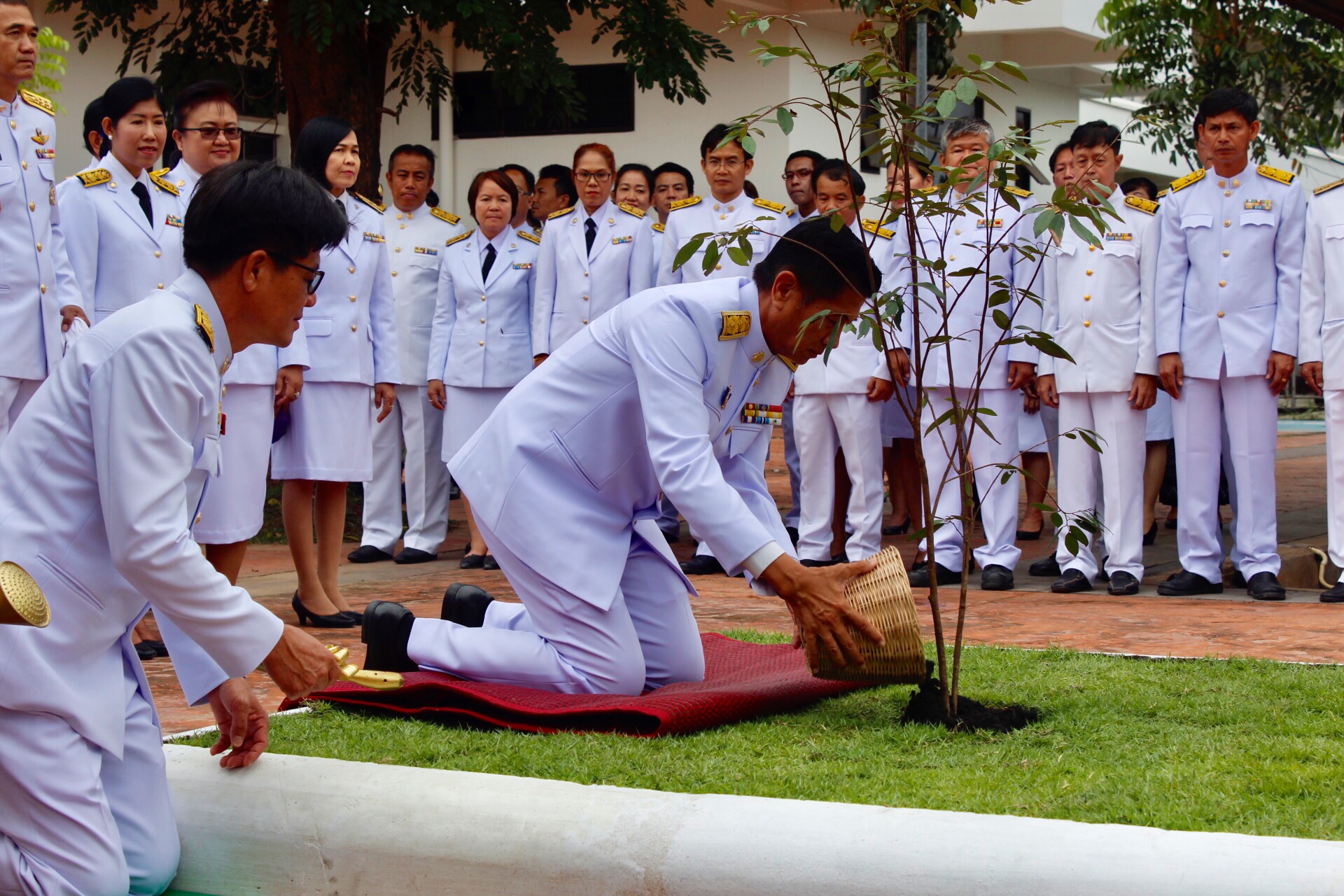 พจ.หนองคาย ร่วมกิจกรรมปลูกต้นรวงผึ้งเฉลิมพระเกียรติ เนื่องในวันเฉลิมพระชนมพรรษาสมเด็จพระเจ้าอยู่หัว 66 พรรษา 28 กรกฎาคม 2561