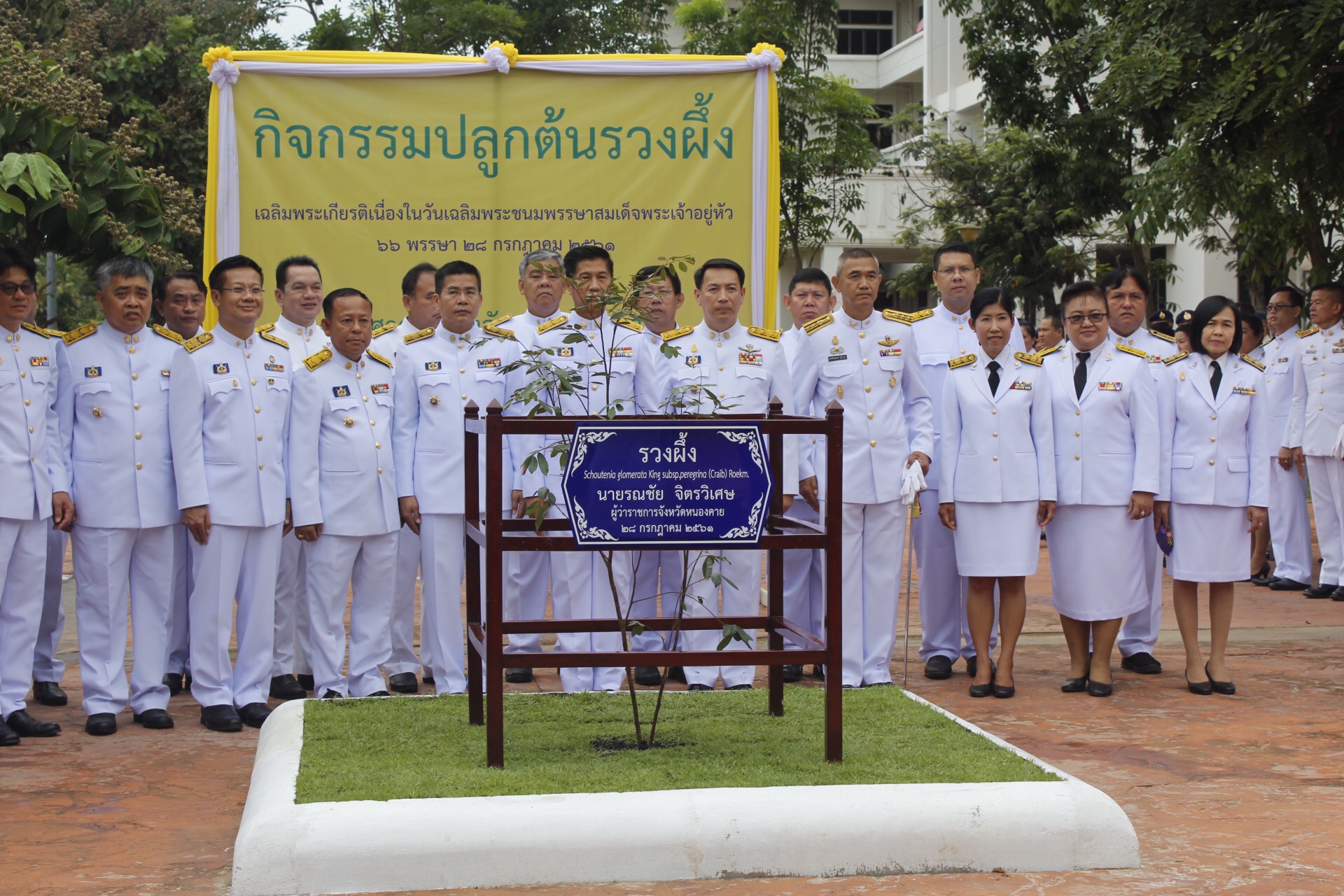 พจ.หนองคาย ร่วมกิจกรรมปลูกต้นรวงผึ้งเฉลิมพระเกียรติ เนื่องในวันเฉลิมพระชนมพรรษาสมเด็จพระเจ้าอยู่หัว 66 พรรษา 28 กรกฎาคม 2561