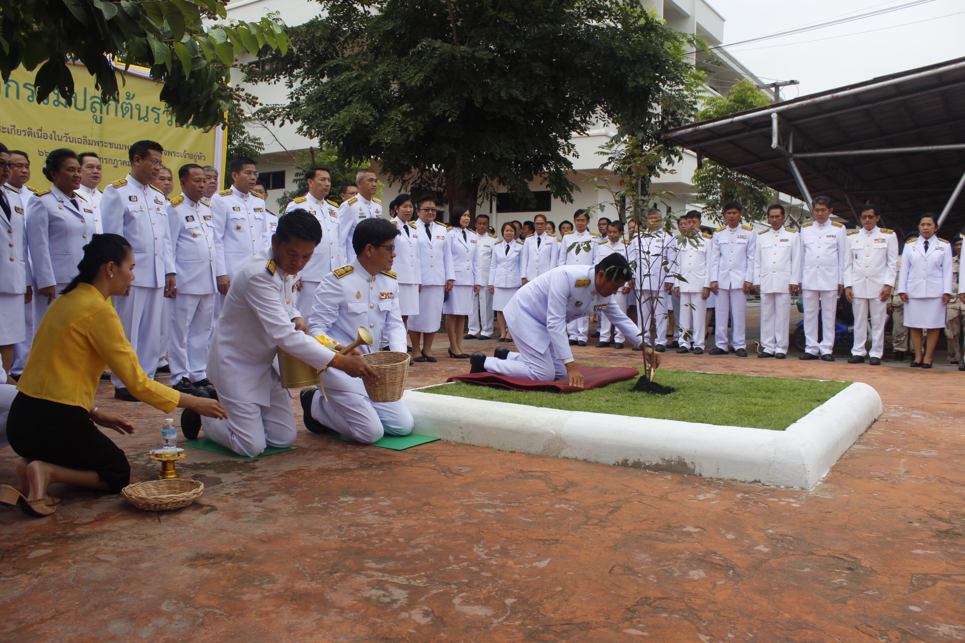 พจ.หนองคาย ร่วมกิจกรรมปลูกต้นรวงผึ้งเฉลิมพระเกียรติ เนื่องในวันเฉลิมพระชนมพรรษาสมเด็จพระเจ้าอยู่หัว 66 พรรษา 28 กรกฎาคม 2561