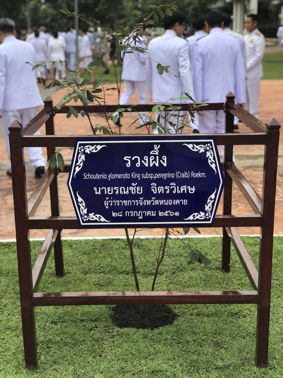 พจ.หนองคาย ร่วมกิจกรรมปลูกต้นรวงผึ้งเฉลิมพระเกียรติ เนื่องในวันเฉลิมพระชนมพรรษาสมเด็จพระเจ้าอยู่หัว 66 พรรษา 28 กรกฎาคม 2561