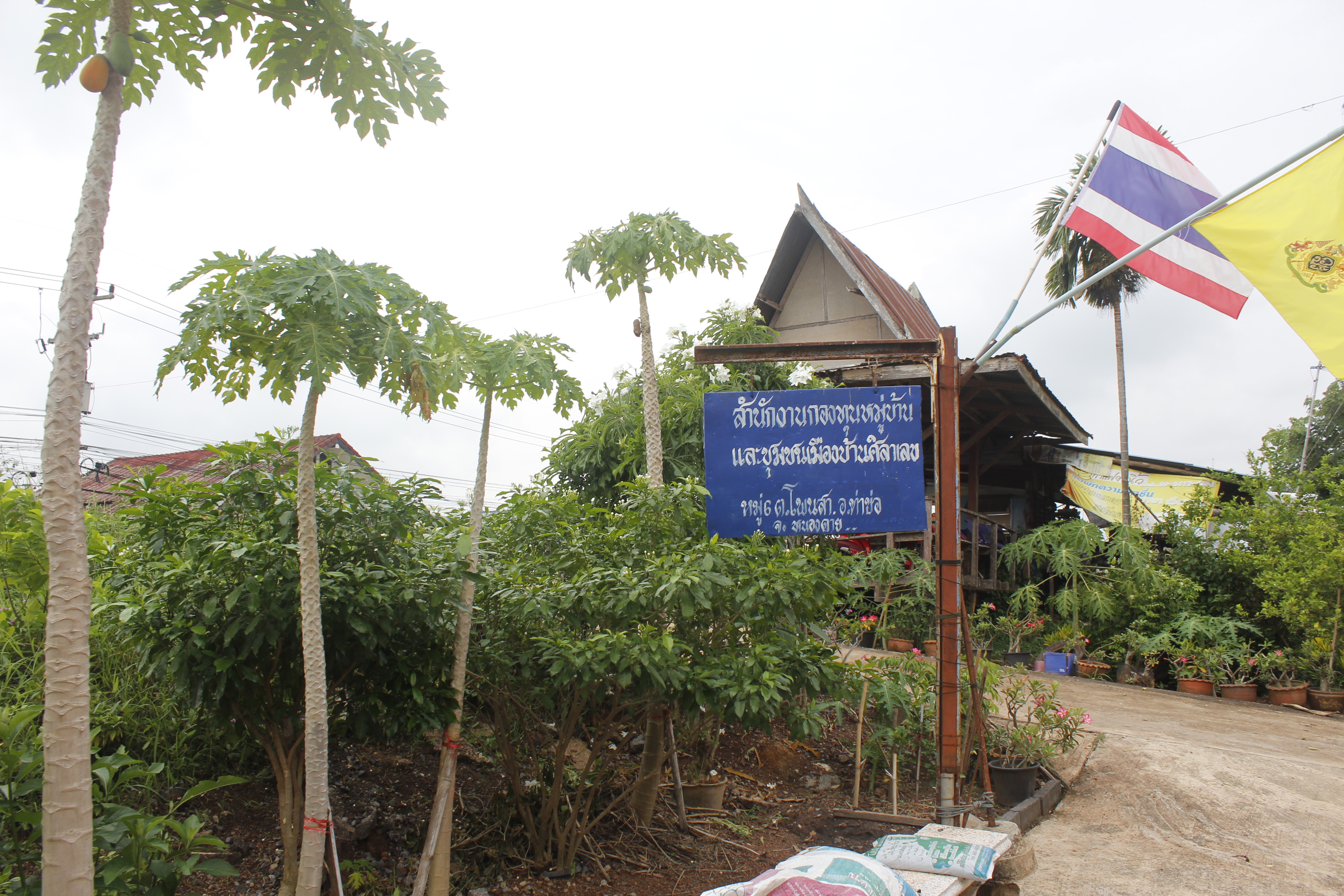 คณะกรรมการคัดสรรกิจกรรมพัฒนาชุมชนดีเด่น ระดับจังหวัด จังหวัดหนองคาย ลงพื้นที่คัดสรรหมู่บ้านเศรษฐกิจพอเพียง “อยู่เย็น เป็นสุข” ณ บ้านศิลาเลข หมู่ที่ 6 ตำบลโพนสา อำเภอท่าบ่อ