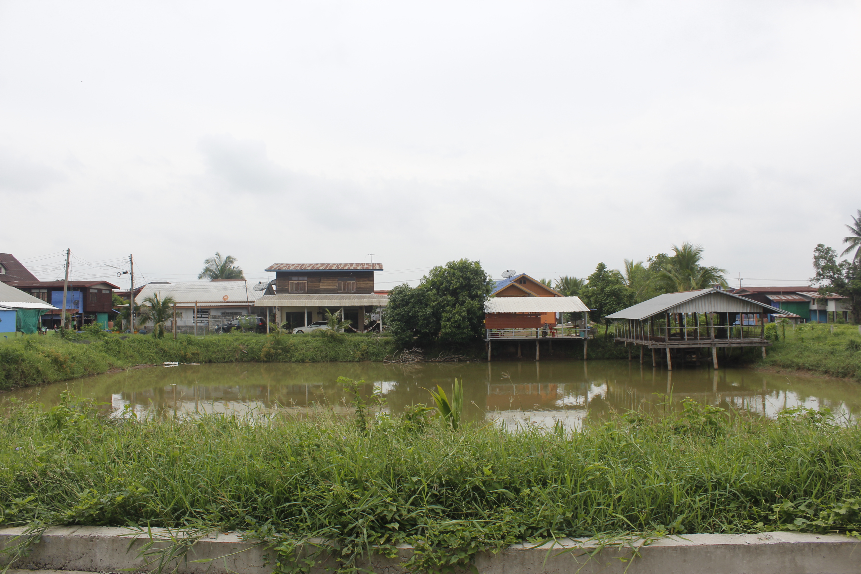 คณะกรรมการคัดสรรกิจกรรมพัฒนาชุมชนดีเด่น ระดับจังหวัด จังหวัดหนองคาย ลงพื้นที่คัดสรรหมู่บ้านเศรษฐกิจพอเพียง “อยู่เย็น เป็นสุข” ณ บ้านศิลาเลข หมู่ที่ 6 ตำบลโพนสา อำเภอท่าบ่อ