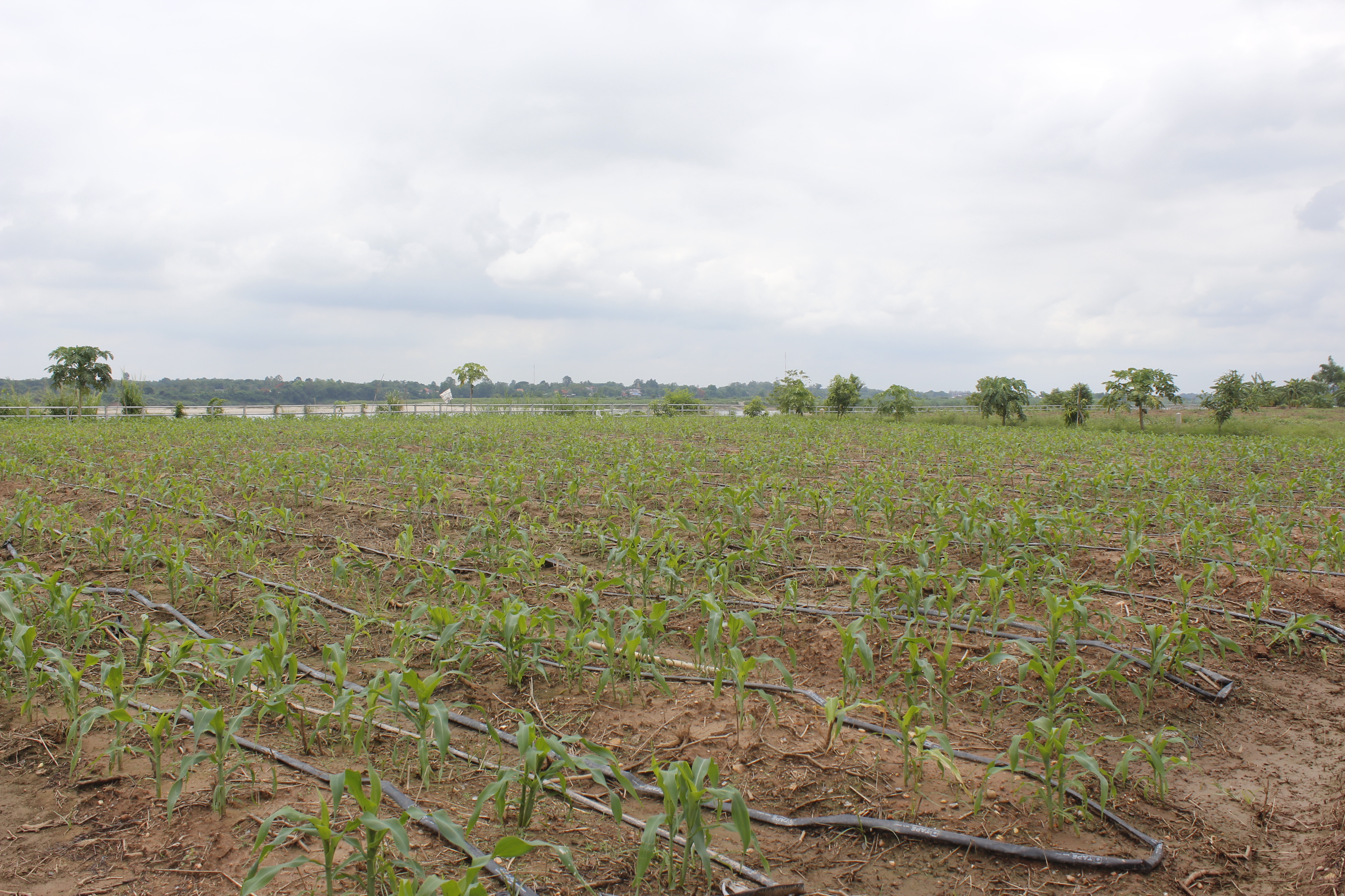 ณะกรรมการคัดสรรกิจกรรมพัฒนาชุมชนดีเด่น ระดับจังหวัด จังหวัดหนองคาย ลงพื้นที่คัดสรรหมู่บ้านเศรษฐกิจพอเพียง “อยู่เย็น เป็นสุข” ณ บ้านพระบาท หมู่ที่ 1 ตำบลพระพุทธบาท อำเภอศรีเชียงใหม่