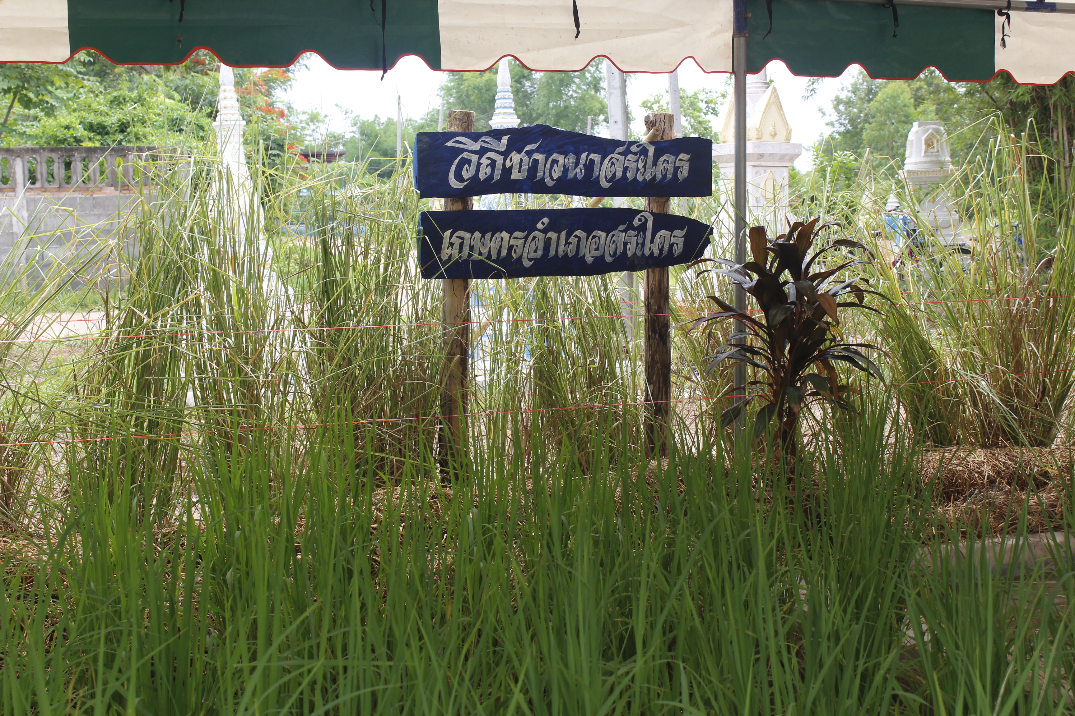 คณะกรรมการคัดสรรกิจกรรมพัฒนาชุมชนดีเด่น ระดับจังหวัด จังหวัดหนองคาย ลงพื้นที่คัดสรรหมู่บ้านเศรษฐกิจพอเพียง “อยู่เย็น เป็นสุข” ณ บ้านนาไหม หมู่ที่ 12 ตำบลสระใคร อำเภอสระใคร