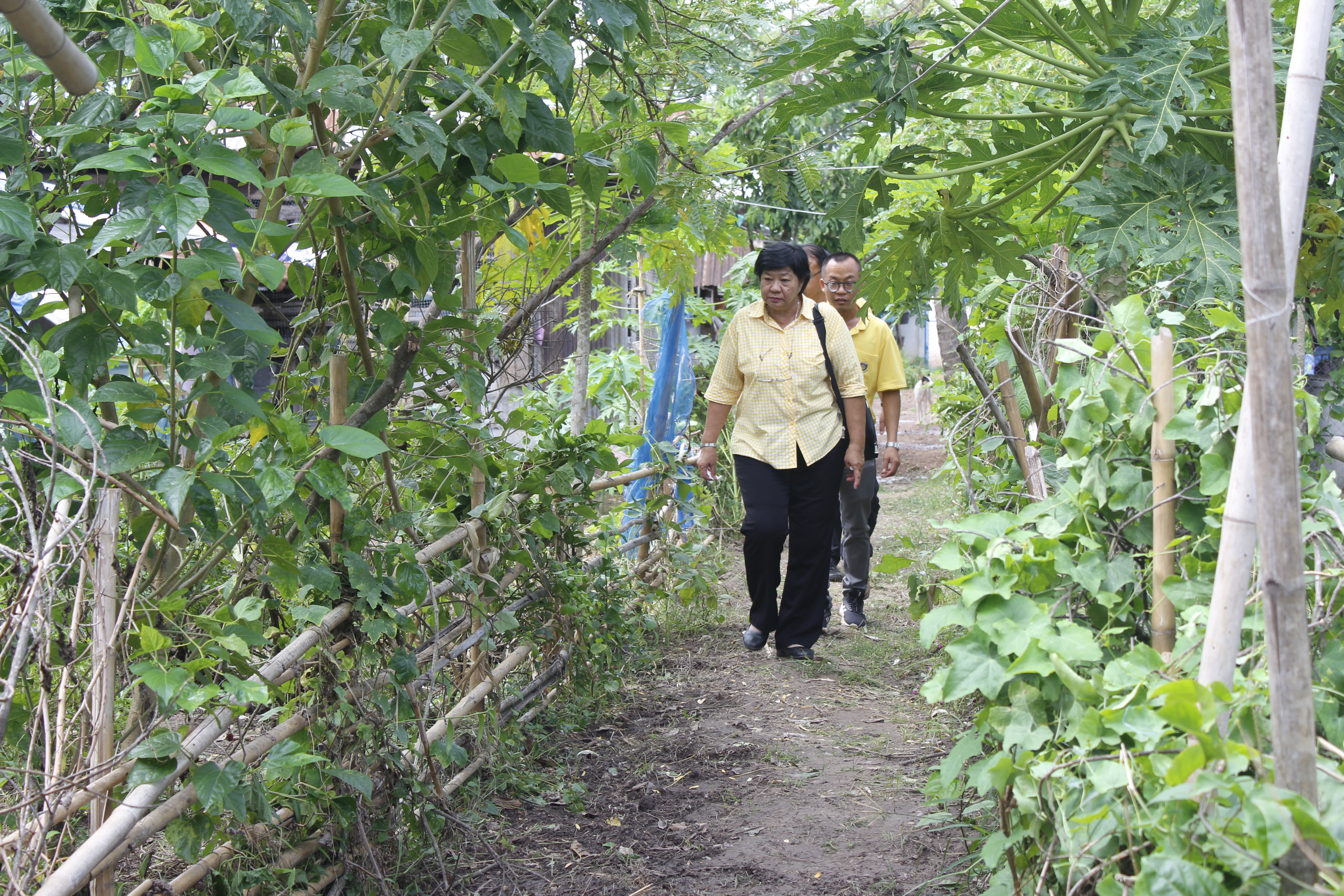 คณะกรรมการคัดสรรกิจกรรมพัฒนาชุมชนดีเด่น ระดับจังหวัด จังหวัดหนองคาย ลงพื้นที่คัดสรรหมู่บ้านเศรษฐกิจพอเพียง “อยู่เย็น เป็นสุข” ณ บ้านนาไหม หมู่ที่ 12 ตำบลสระใคร อำเภอสระใคร