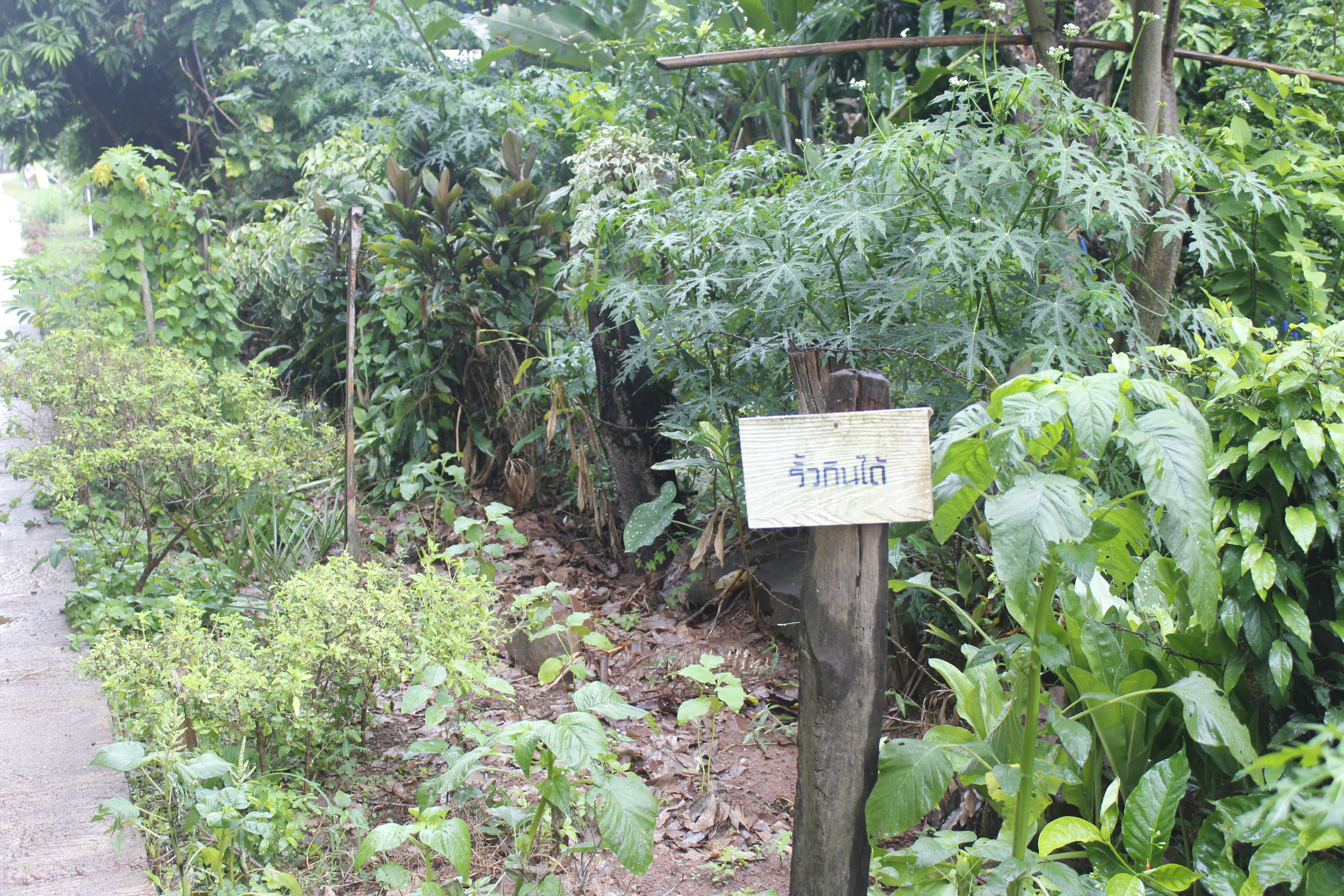 คณะกรรมการคัดสรรกิจกรรมพัฒนาชุมชนดีเด่น ระดับจังหวัด จังหวัดหนองคาย ลงพื้นที่คัดสรรหมู่บ้านเศรษฐกิจพอเพียง “อยู่เย็น เป็นสุข” ณ บ้านโนนประเสริฐ หมู่ที่ 10 ตำบลพระบาทนาสิงห์ อำเภอรัตนวาปี