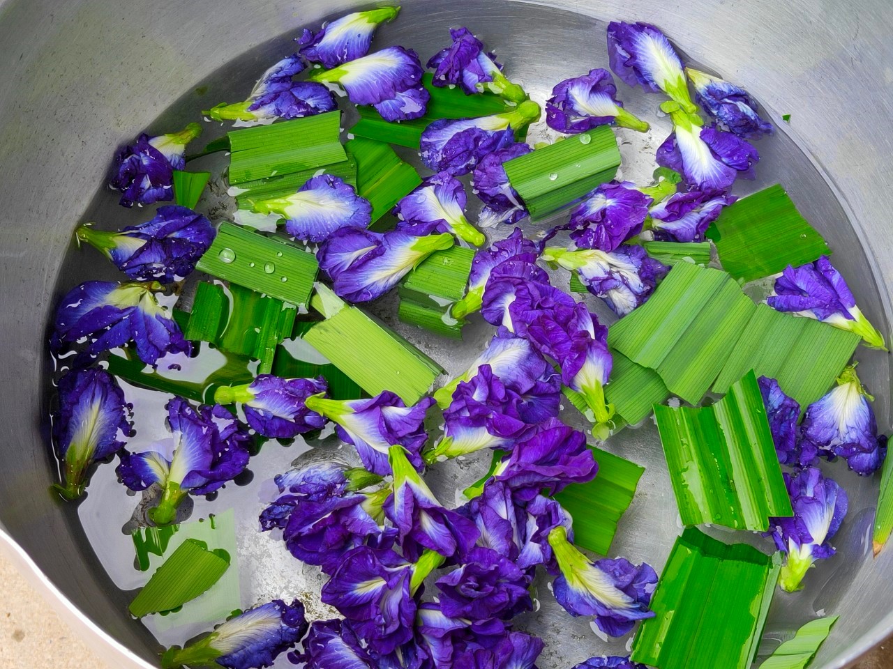 พช.หนองคาย นำส่วนราชการ ภาคเอกชน ท่องเที่ยวเชิงประเพณีวัฒนธรรมโดยชุมชน ณ บ้านโคกซวก อำเภอศรีเชียงใหม่ ตามโครงการ “ยกระดับการท่องเที่ยวเชิงประเพณีวัฒนธรรม กิจกรรมพัฒนายกระดับการท่องเที่ยวเชิงประเพณีวัฒนธรรม (ภาคตะวันออกเฉียงเหนือ)”