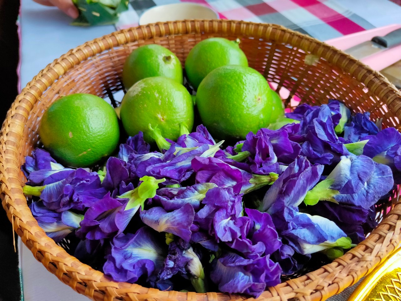 พช.หนองคาย นำส่วนราชการ ภาคเอกชน ท่องเที่ยวเชิงประเพณีวัฒนธรรมโดยชุมชน ณ บ้านโคกซวก อำเภอศรีเชียงใหม่ ตามโครงการ “ยกระดับการท่องเที่ยวเชิงประเพณีวัฒนธรรม กิจกรรมพัฒนายกระดับการท่องเที่ยวเชิงประเพณีวัฒนธรรม (ภาคตะวันออกเฉียงเหนือ)”