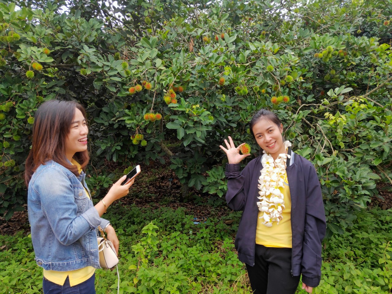 พช.หนองคาย นำส่วนราชการ ภาคเอกชน ท่องเที่ยวเชิงประเพณีวัฒนธรรมโดยชุมชน ณ บ้านโคกซวก อำเภอศรีเชียงใหม่ ตามโครงการ “ยกระดับการท่องเที่ยวเชิงประเพณีวัฒนธรรม กิจกรรมพัฒนายกระดับการท่องเที่ยวเชิงประเพณีวัฒนธรรม (ภาคตะวันออกเฉียงเหนือ)”